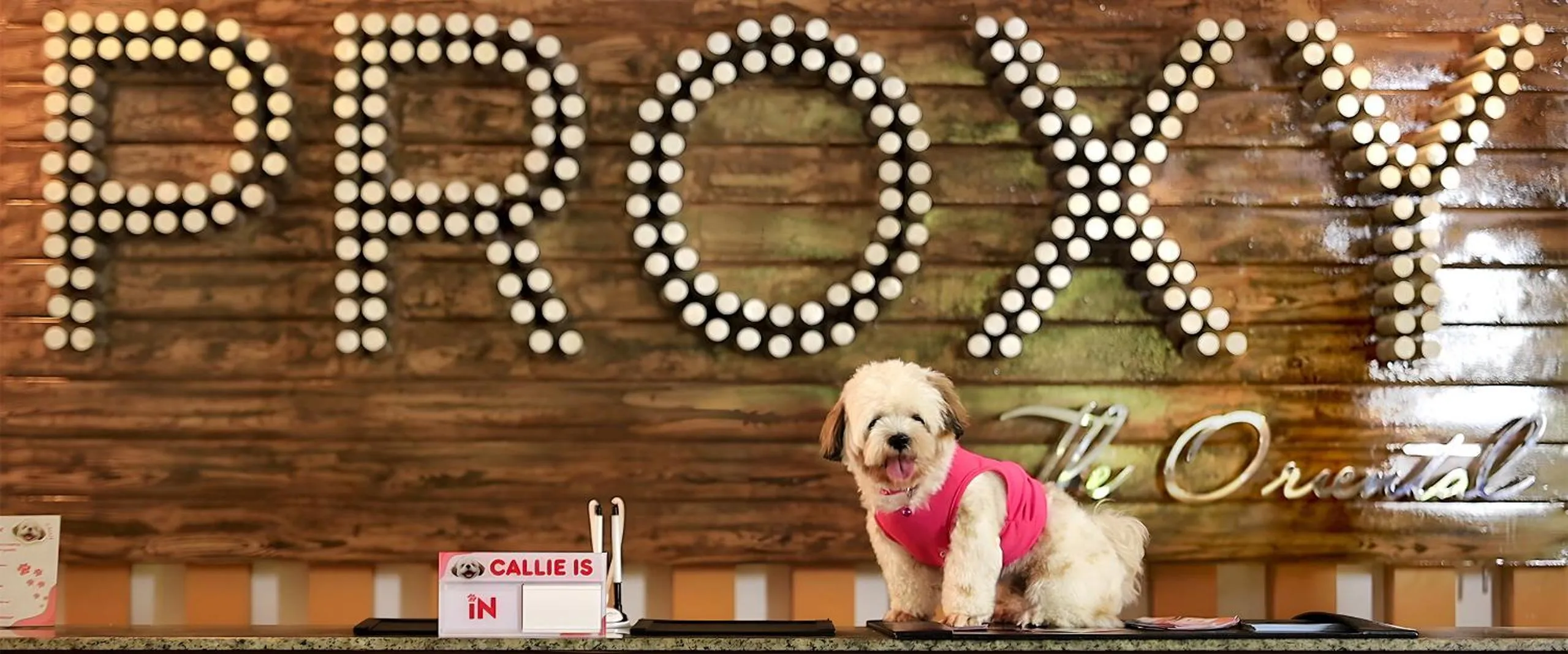 Lobby or reception in PROXY by The Oriental Albay