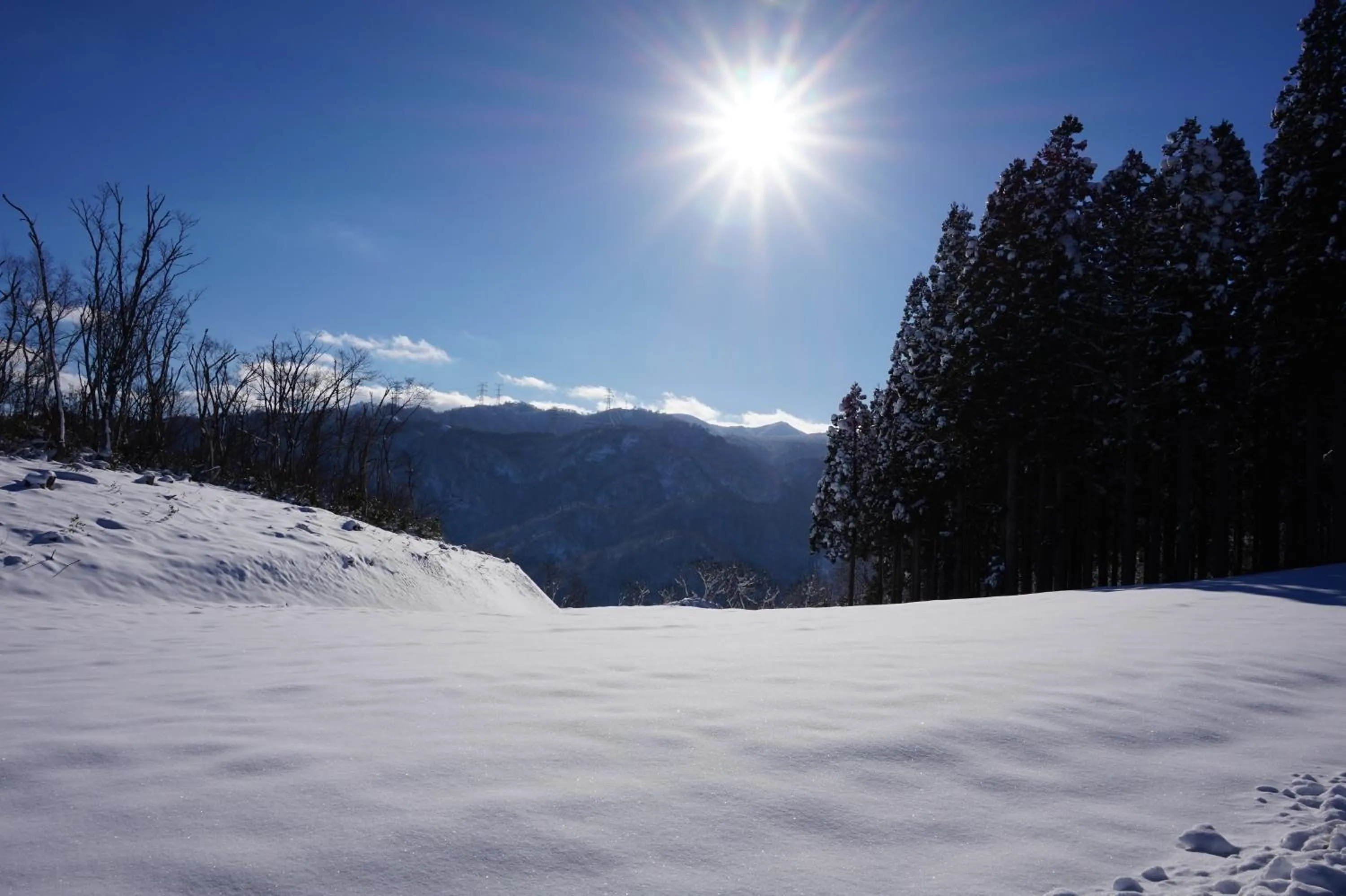 Skiing in New Greenpia Tsunan