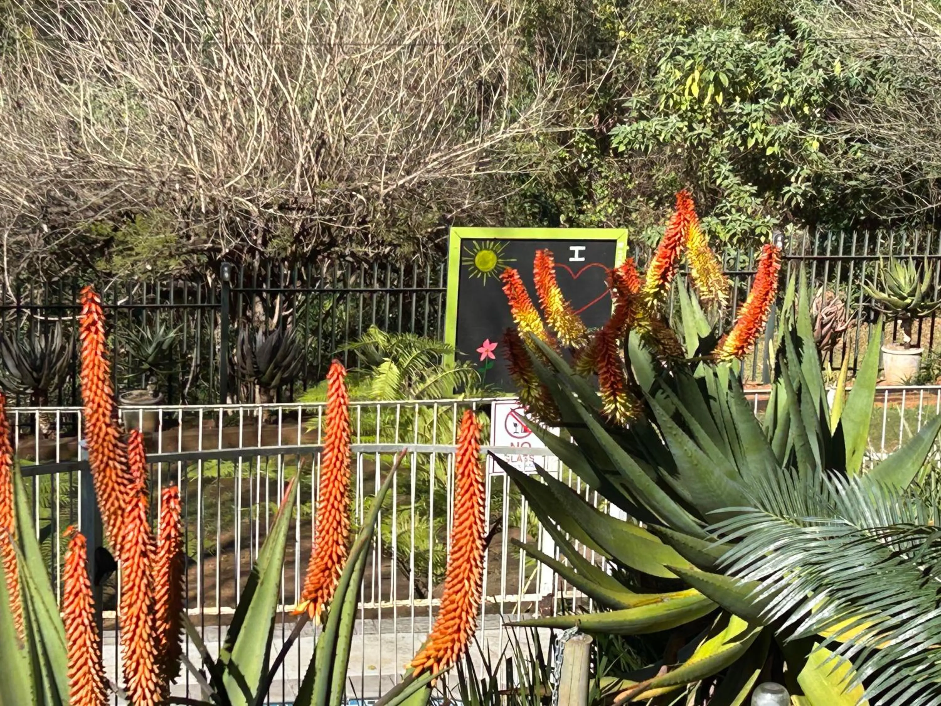 Day in Sabie Self Catering Apartments