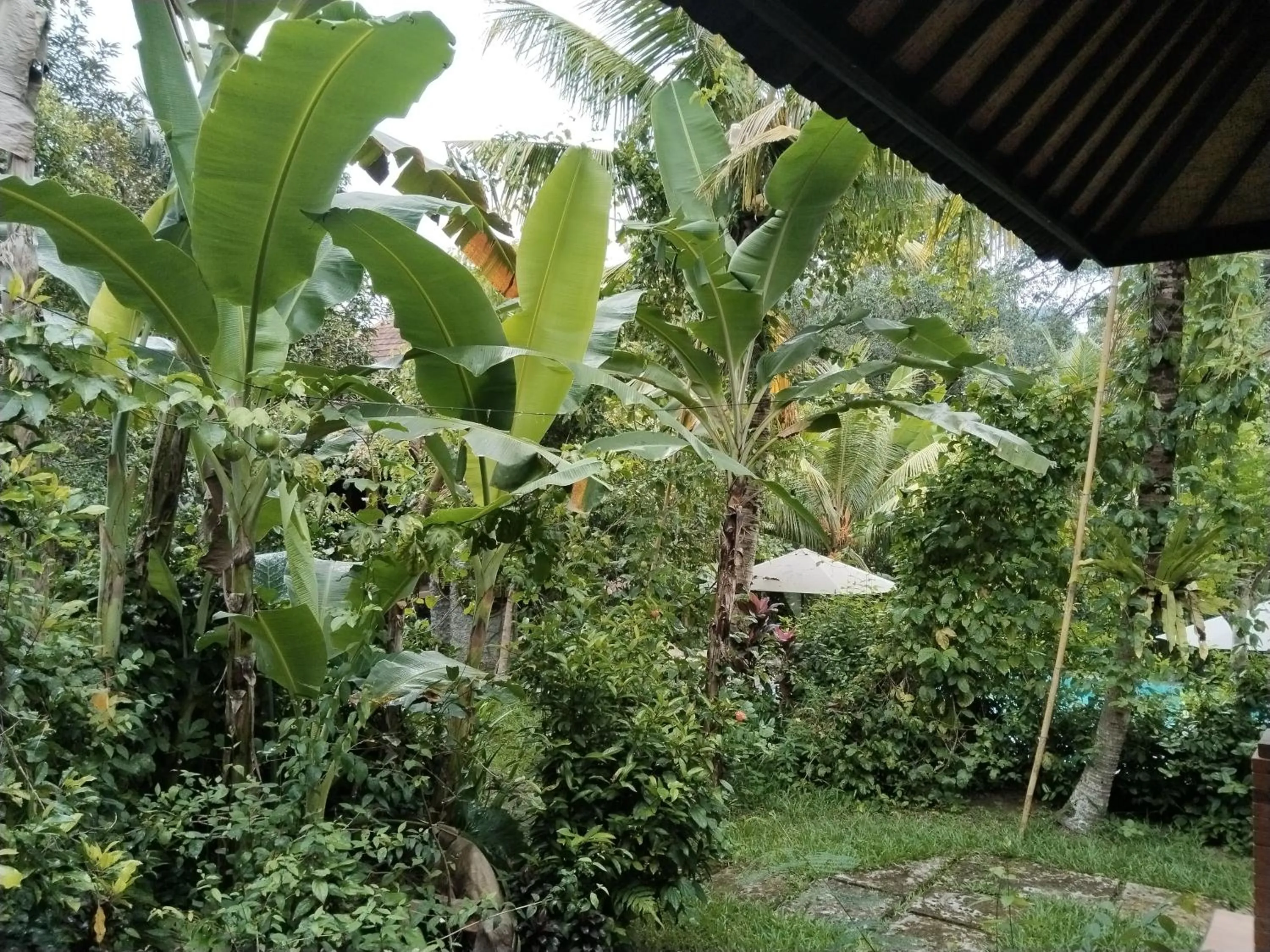 View (from property/room) in Khrisna Hs and Cottages
