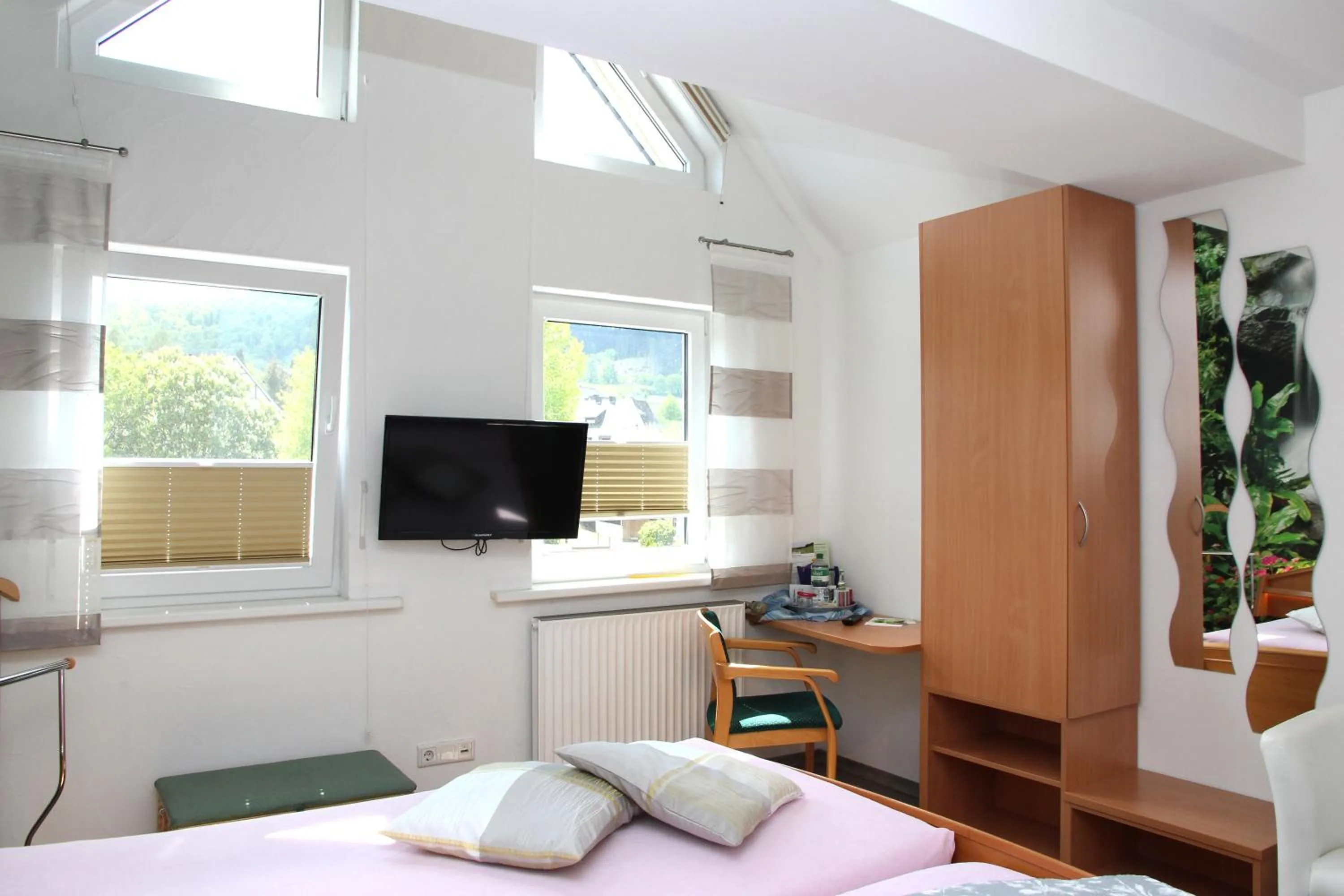 Double Room - single occupancy in Pension und Ferienwohnungen Schweinsberg