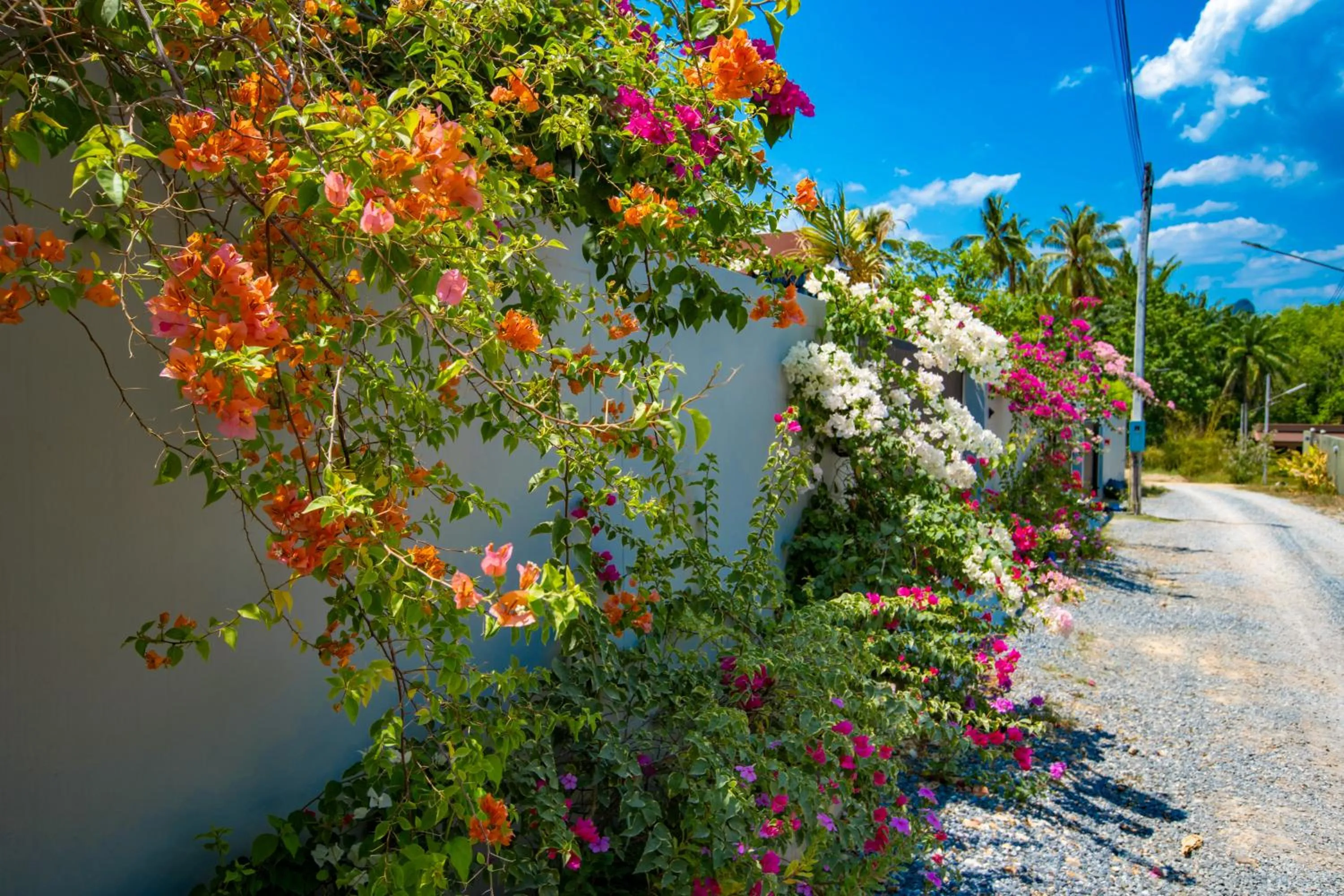 Property building in Aonang nine poolvilla
