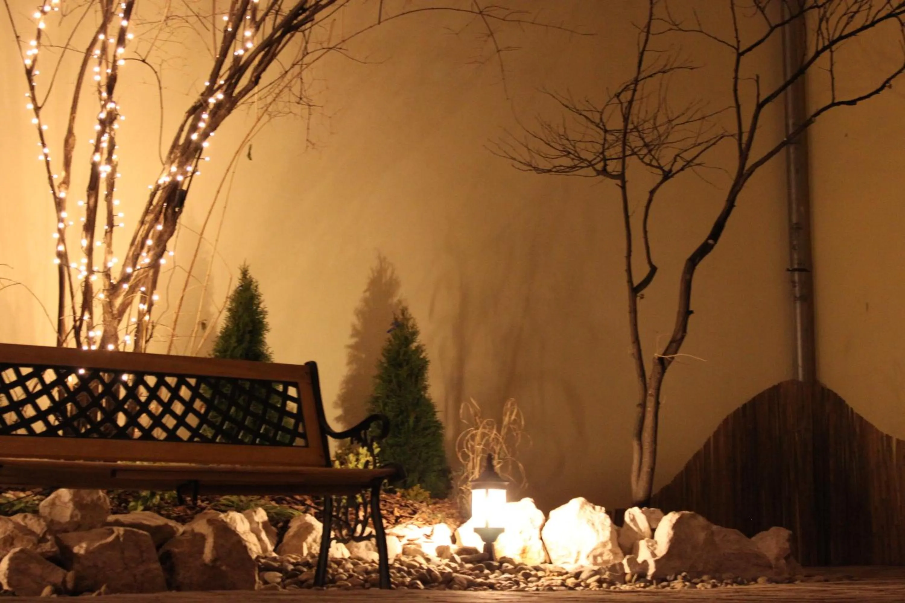 Garden in Central Hotel 21