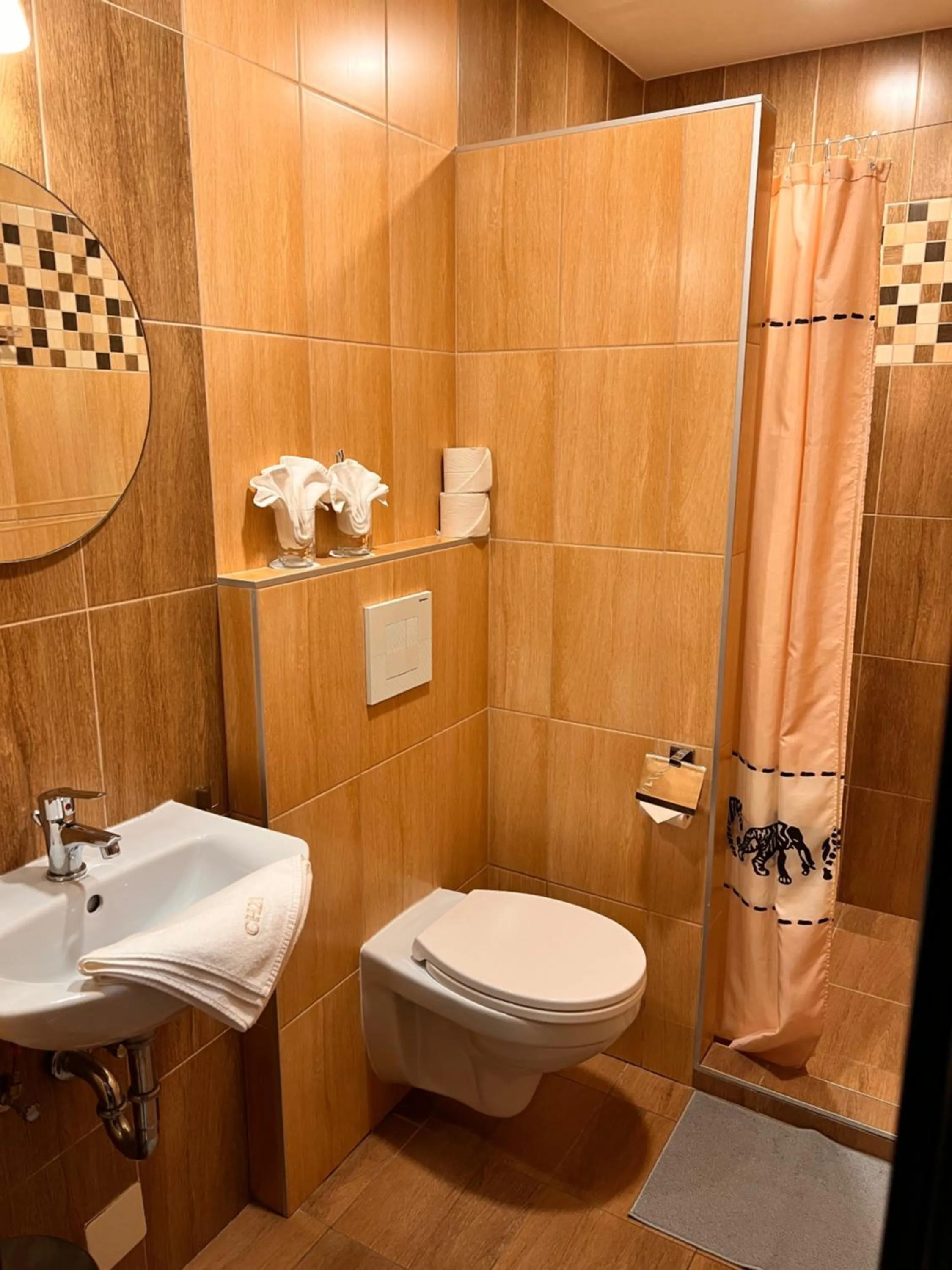 Shower in Central Hotel 21