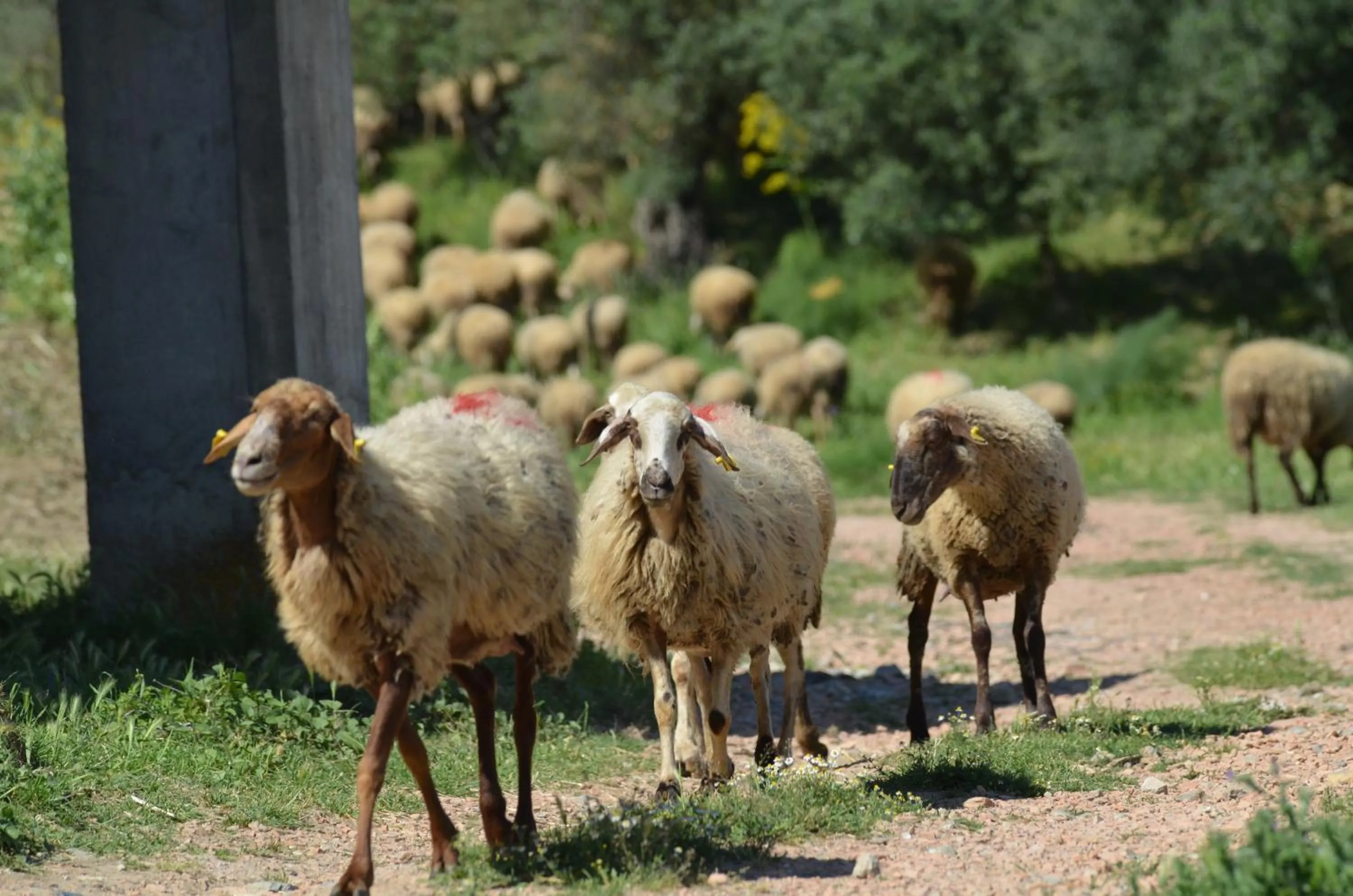 Area and facilities in Hotel Toscano