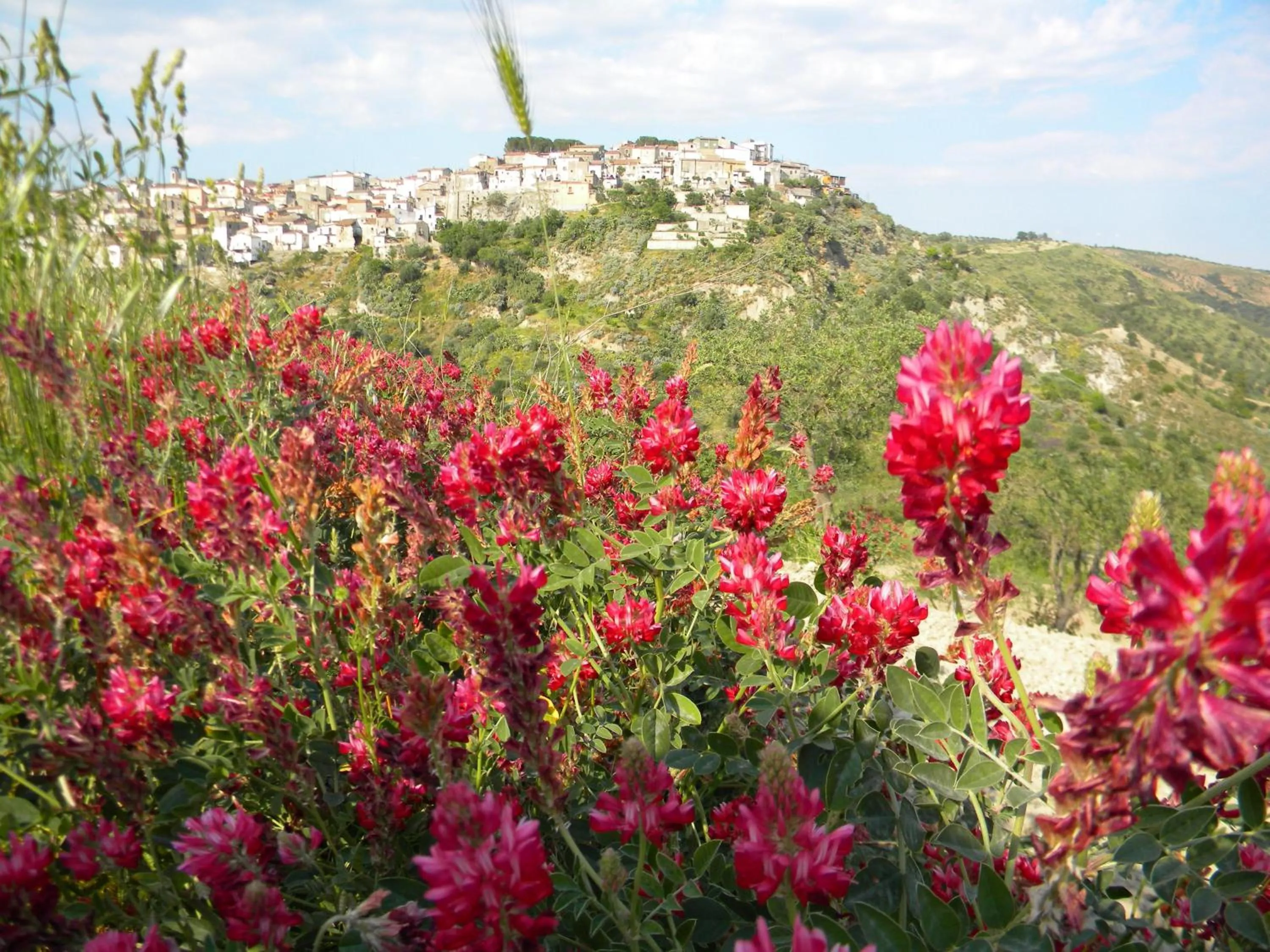 Area and facilities in Hotel Toscano