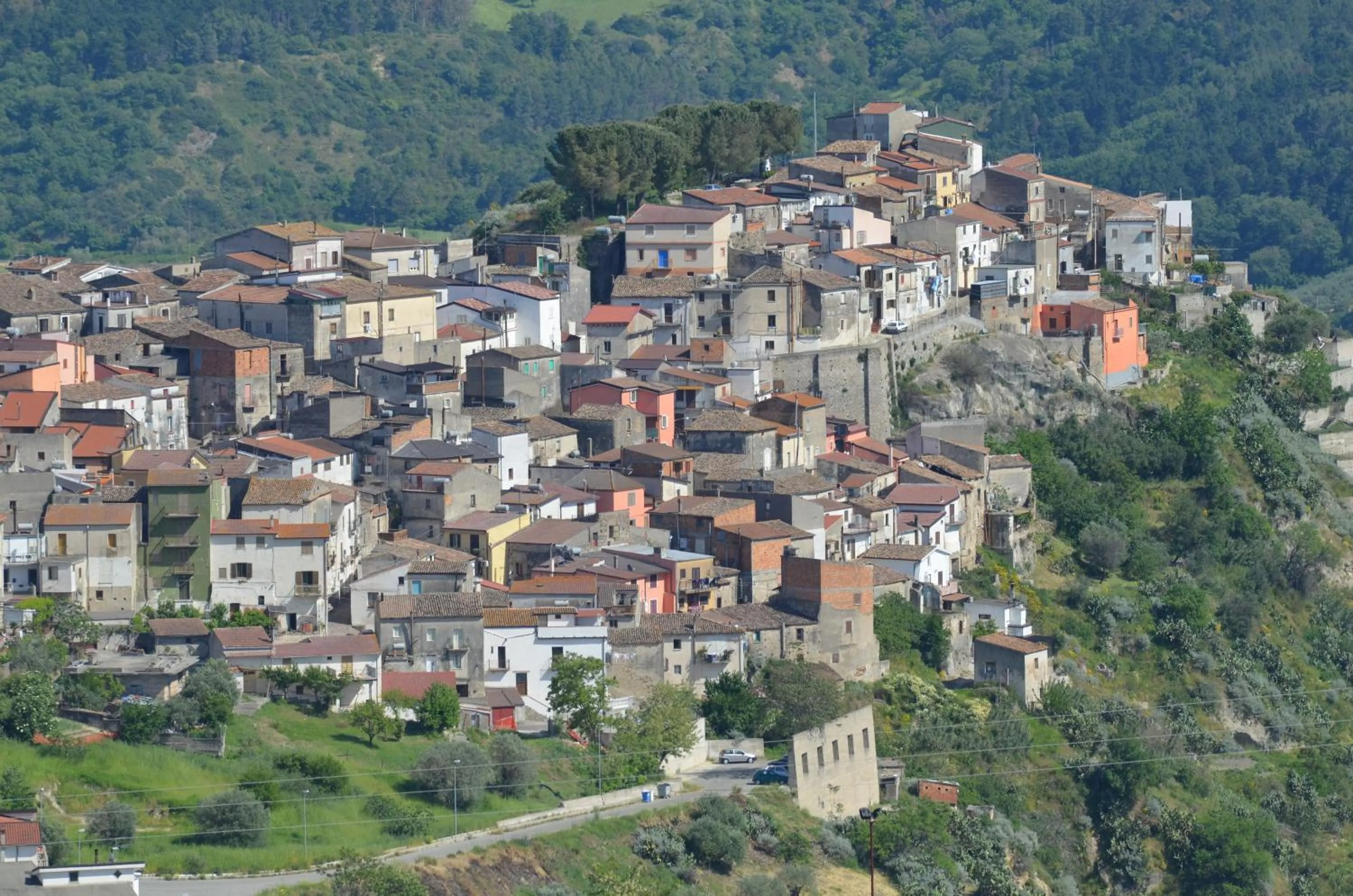 Area and facilities in Hotel Toscano