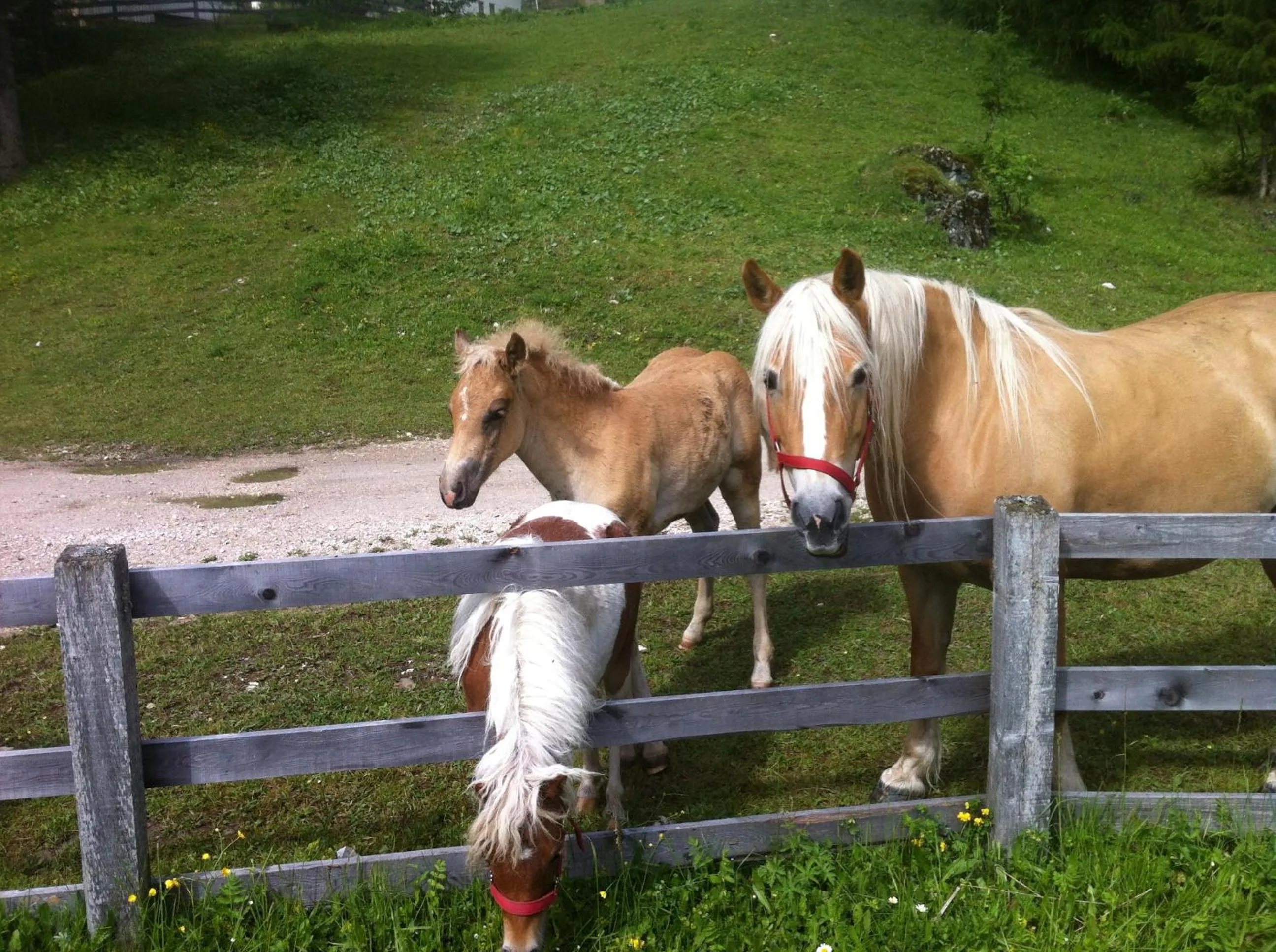 Area and facilities in B&B La Tranquillitè