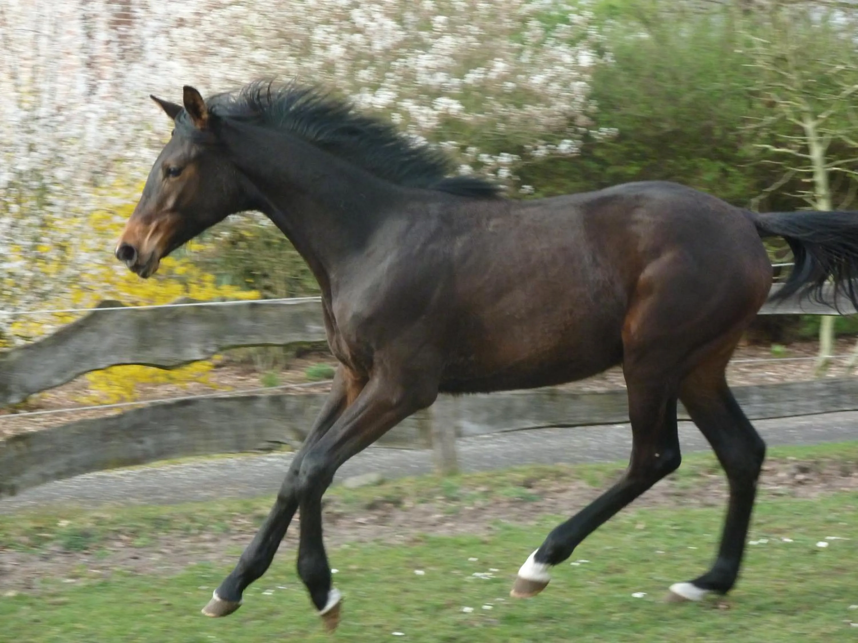 Other in Hotel Up de Birke