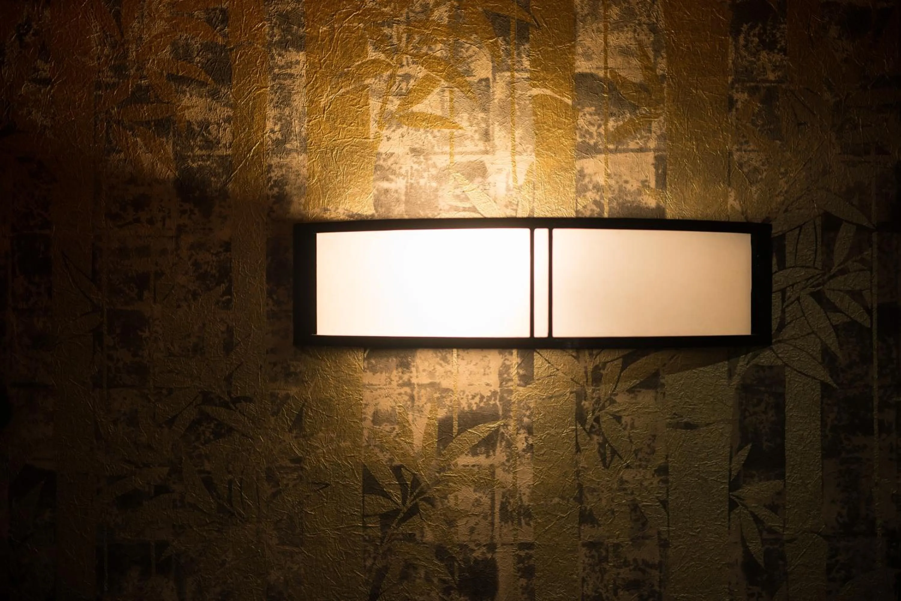 Area and facilities in Stay SAKURA Kyoto Higashiyama Shirakawa