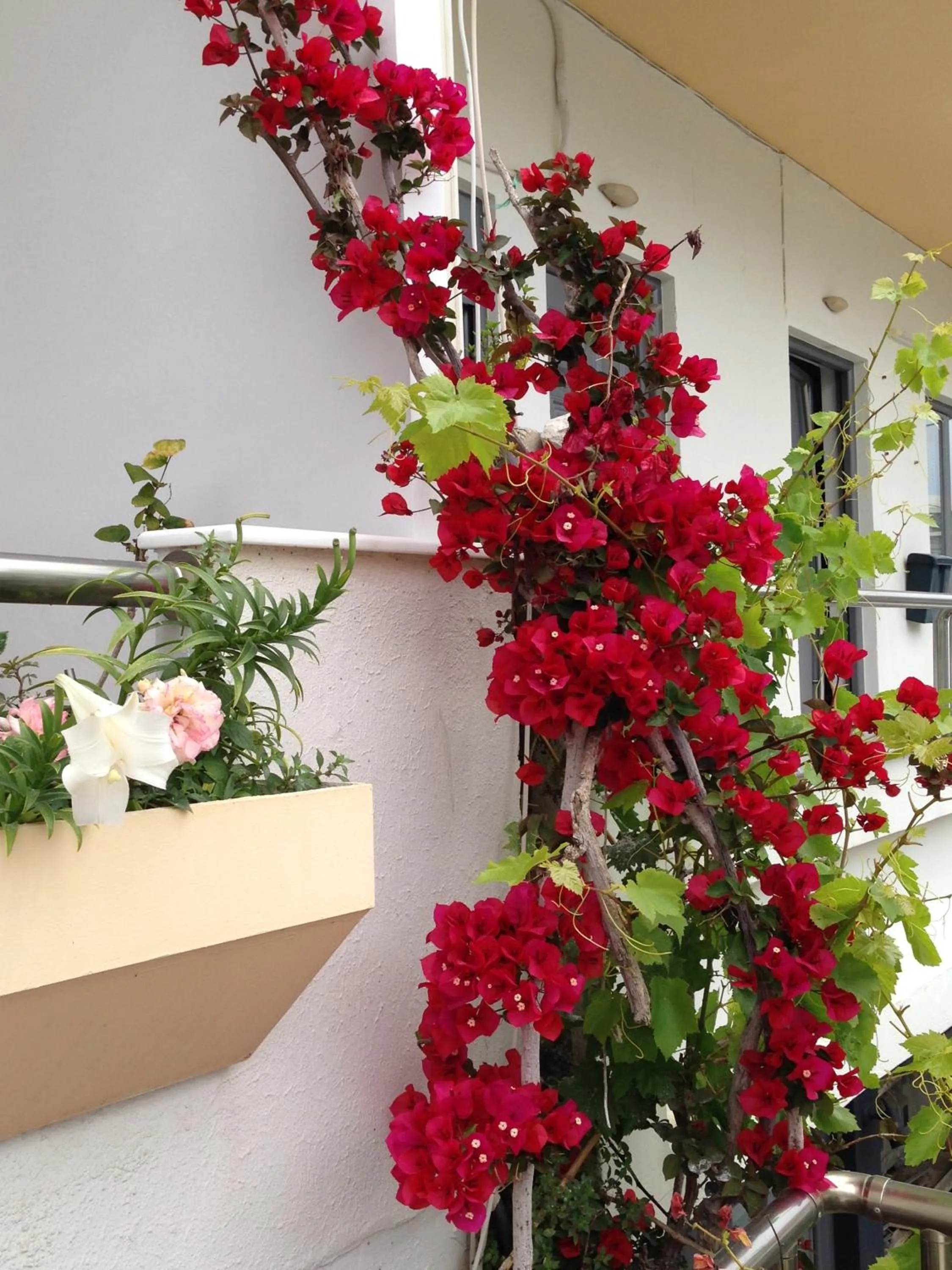 Property building in Zefyros Hotel