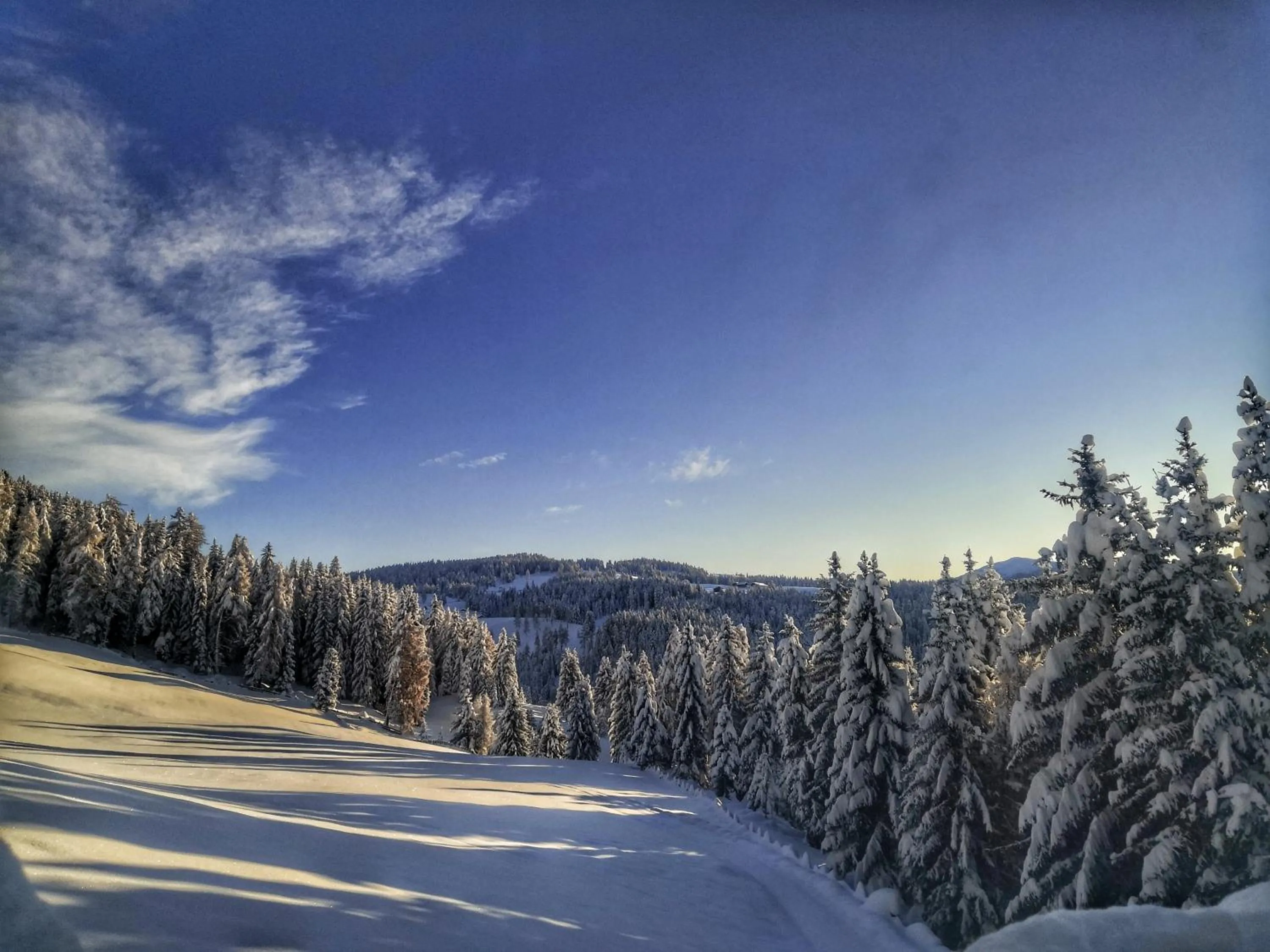Natural landscape in Oberhauser Hütte Rodenecker - Lüsner Alm