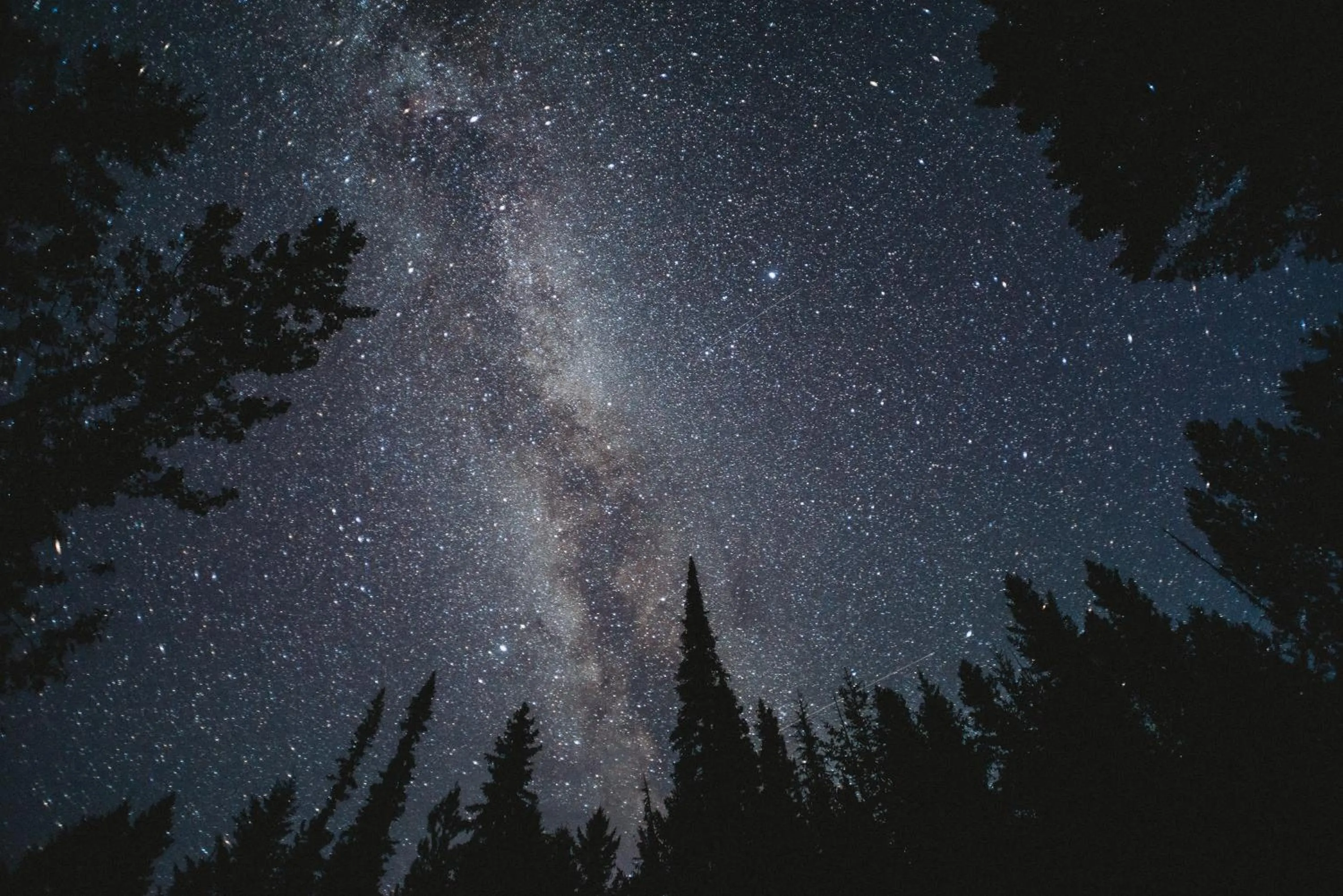 Natural landscape in Oberhauser Hütte Rodenecker - Lüsner Alm
