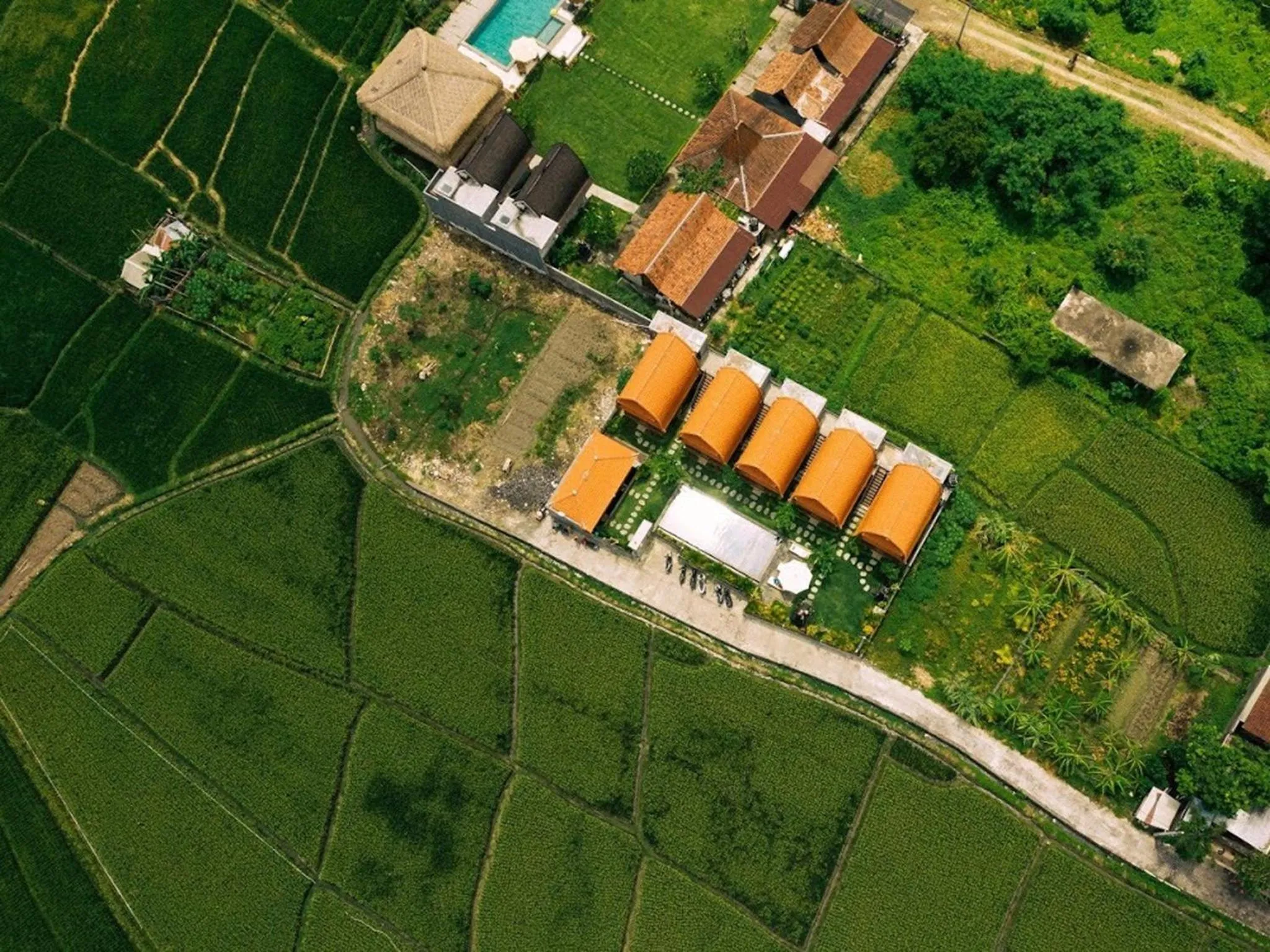 Bird's eye view in D'jineng Rice Terrace Canggu