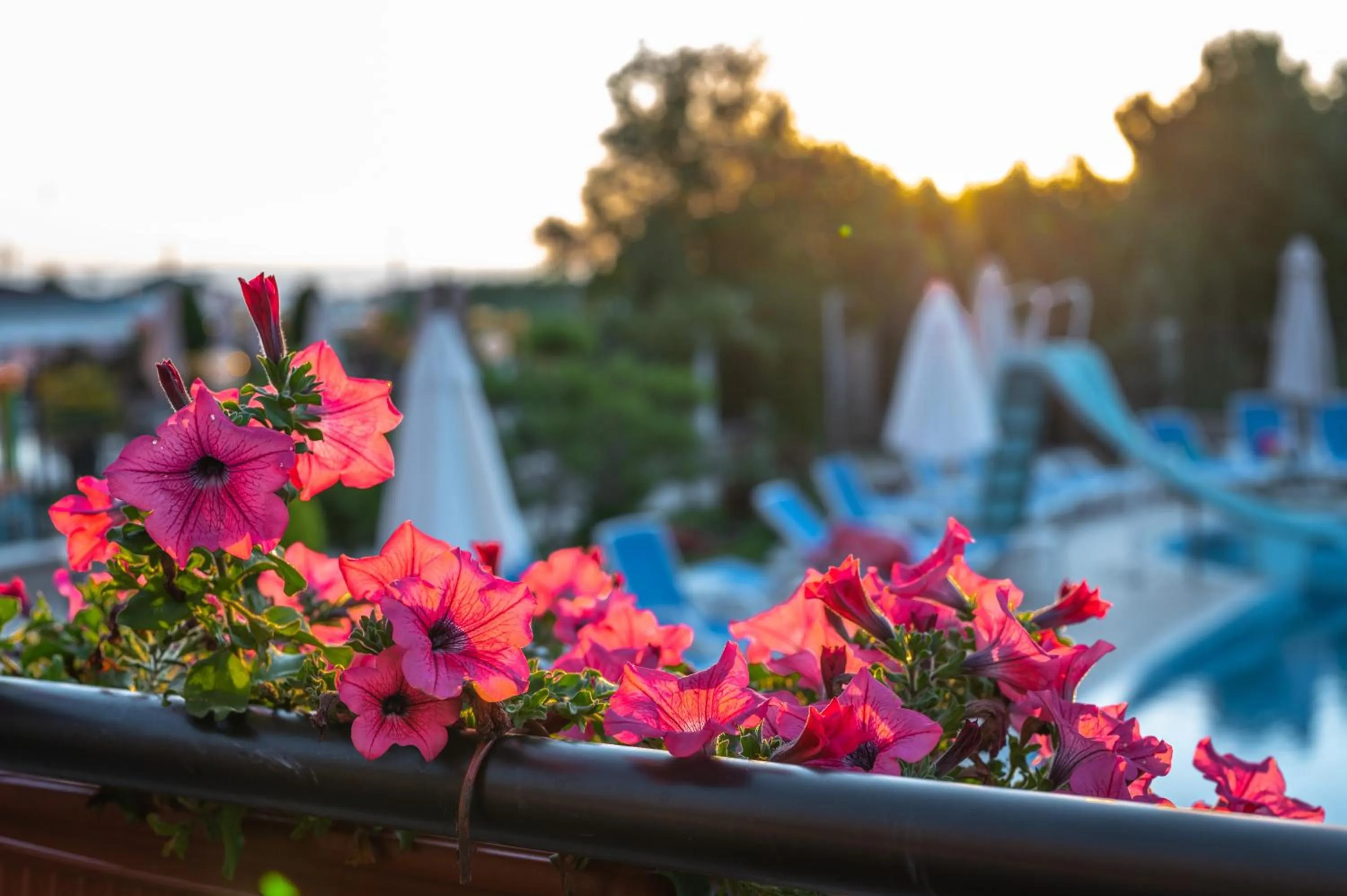 Day in Veramar Hotel - All Inclusive & Free Beach