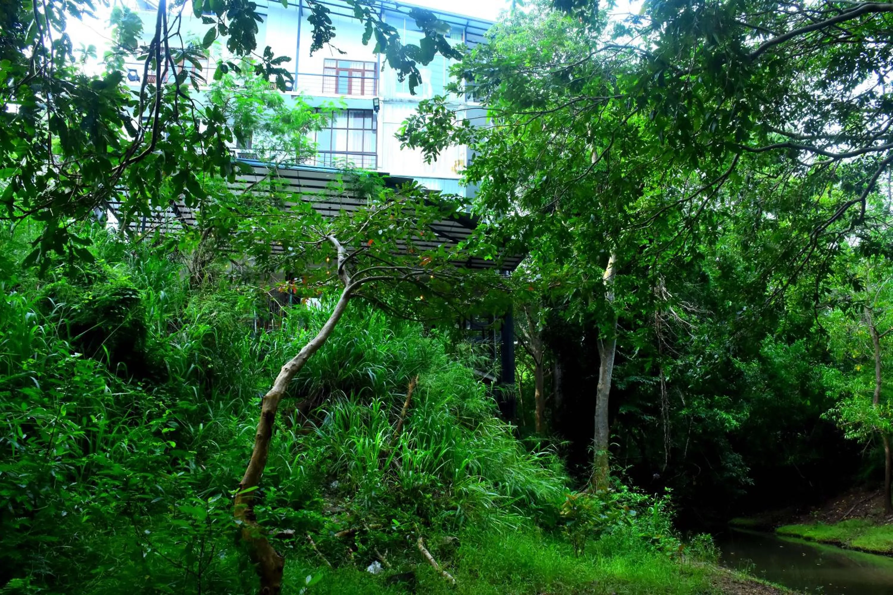 Deluxe Double Room with Balcony - single occupancy in Sunwin River Cabana & Hotel