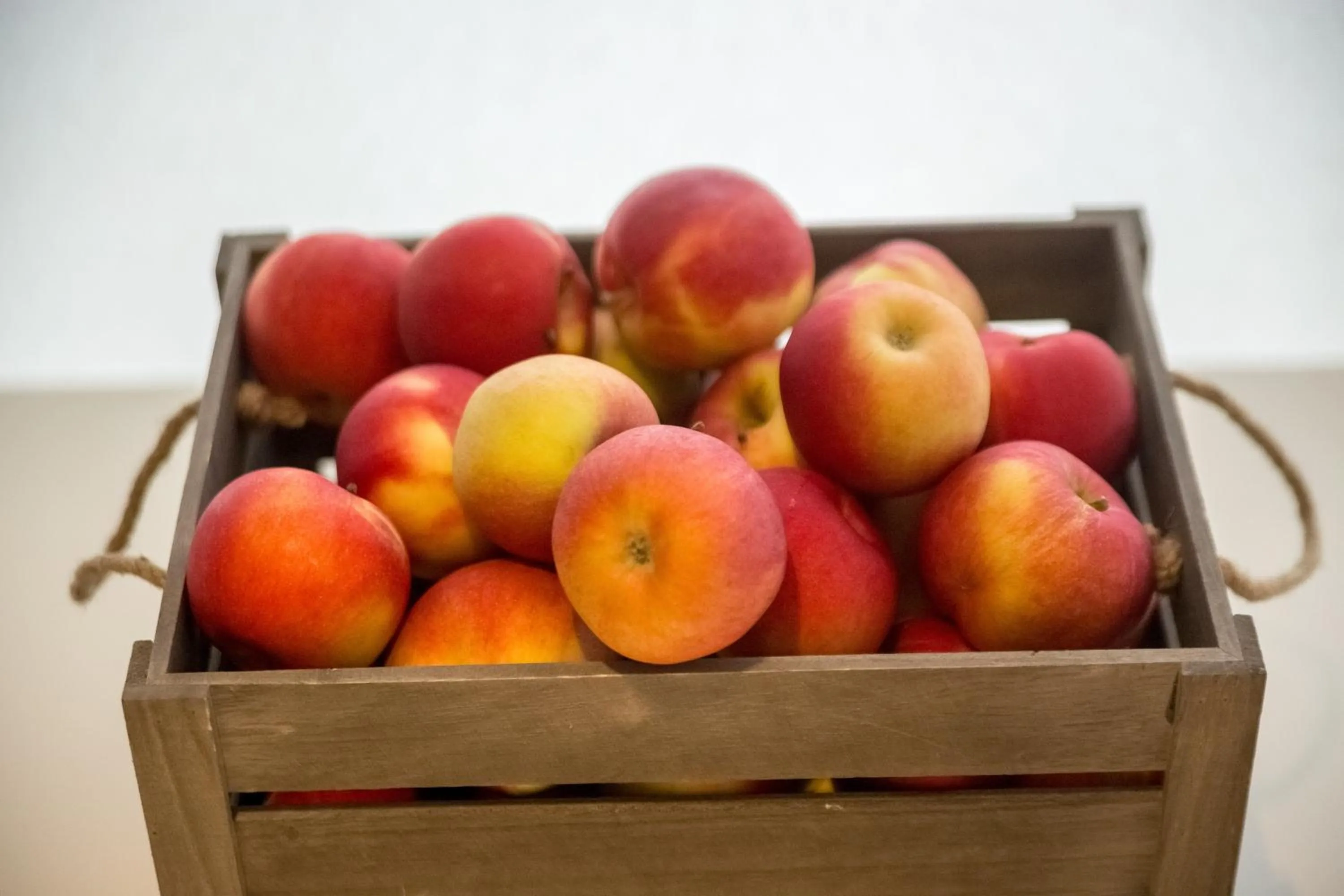 Food in Holiday Resort Ad Turres