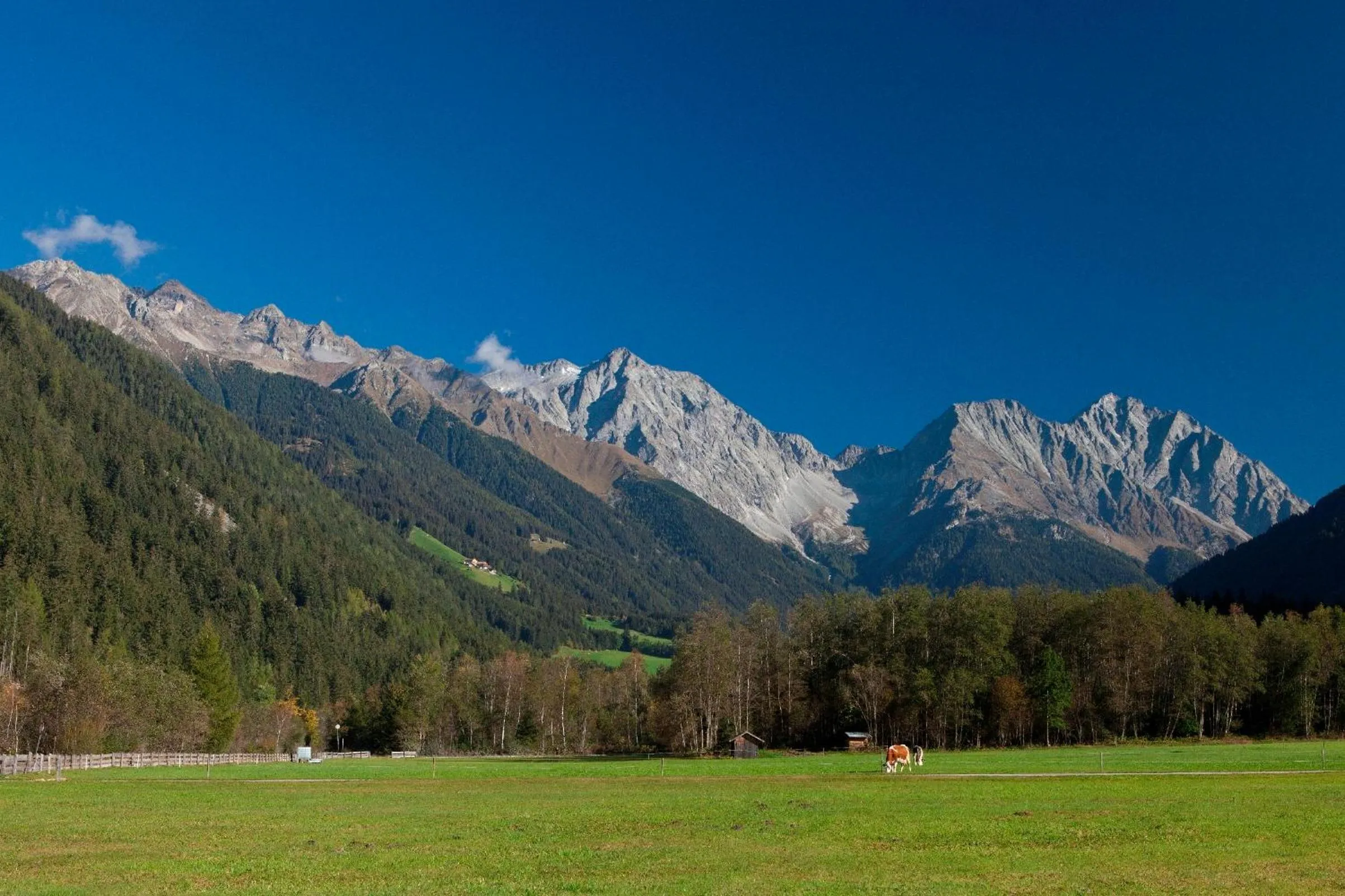 Area and facilities in Gasthof Lechner