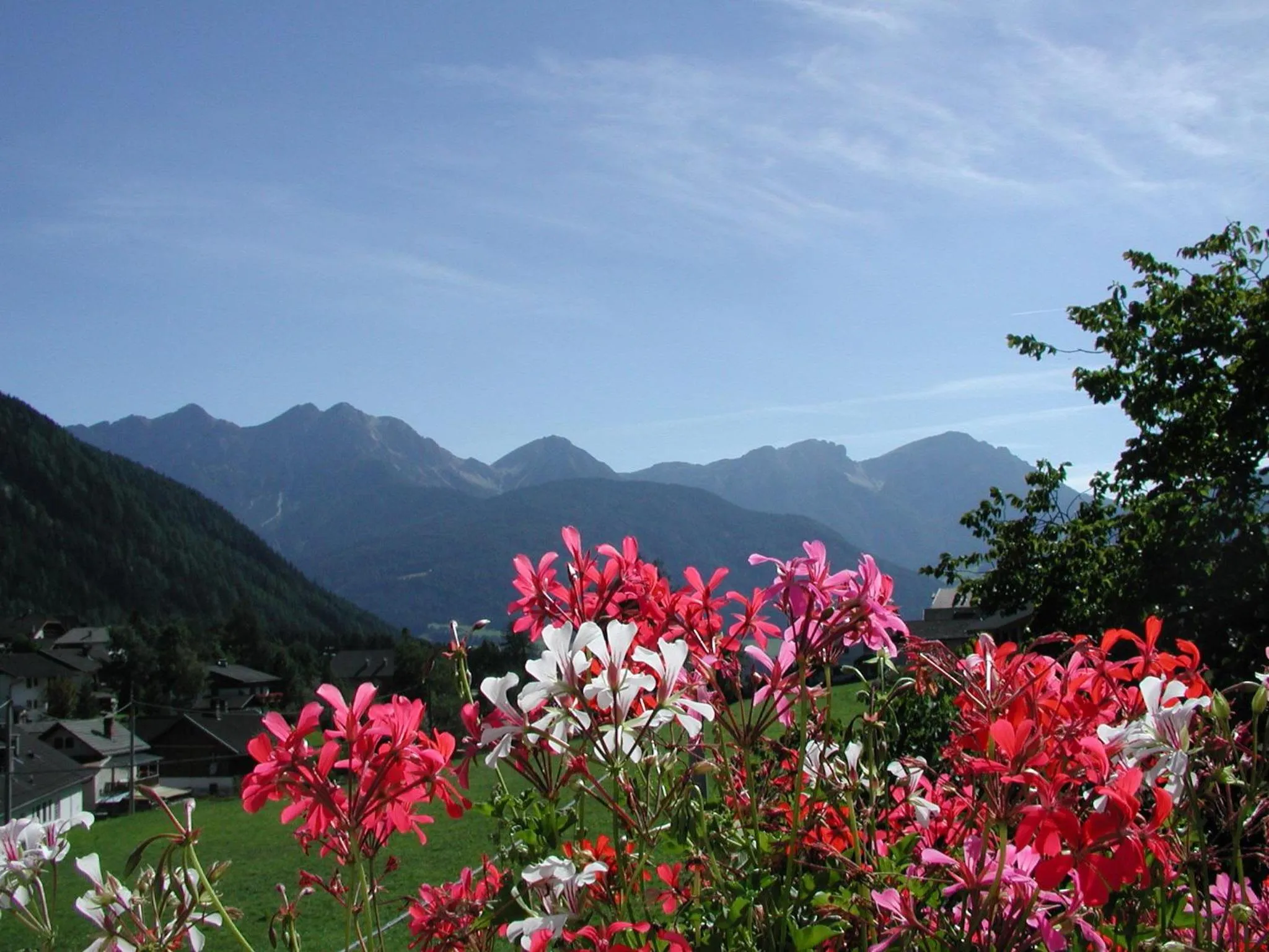 View (from property/room) in Gasthof Lechner