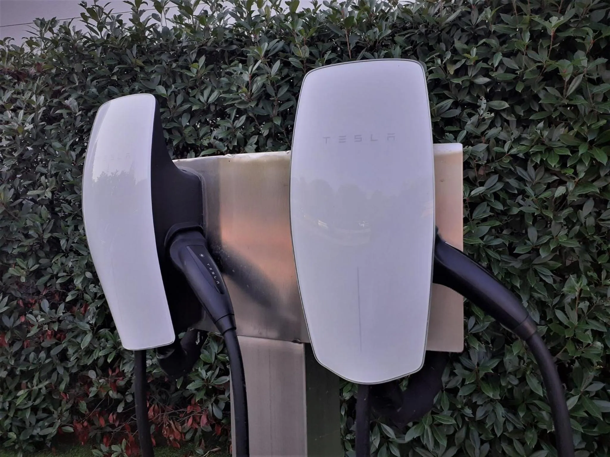 Other in Holiday Inn Express Milan-Malpensa Airport by IHG