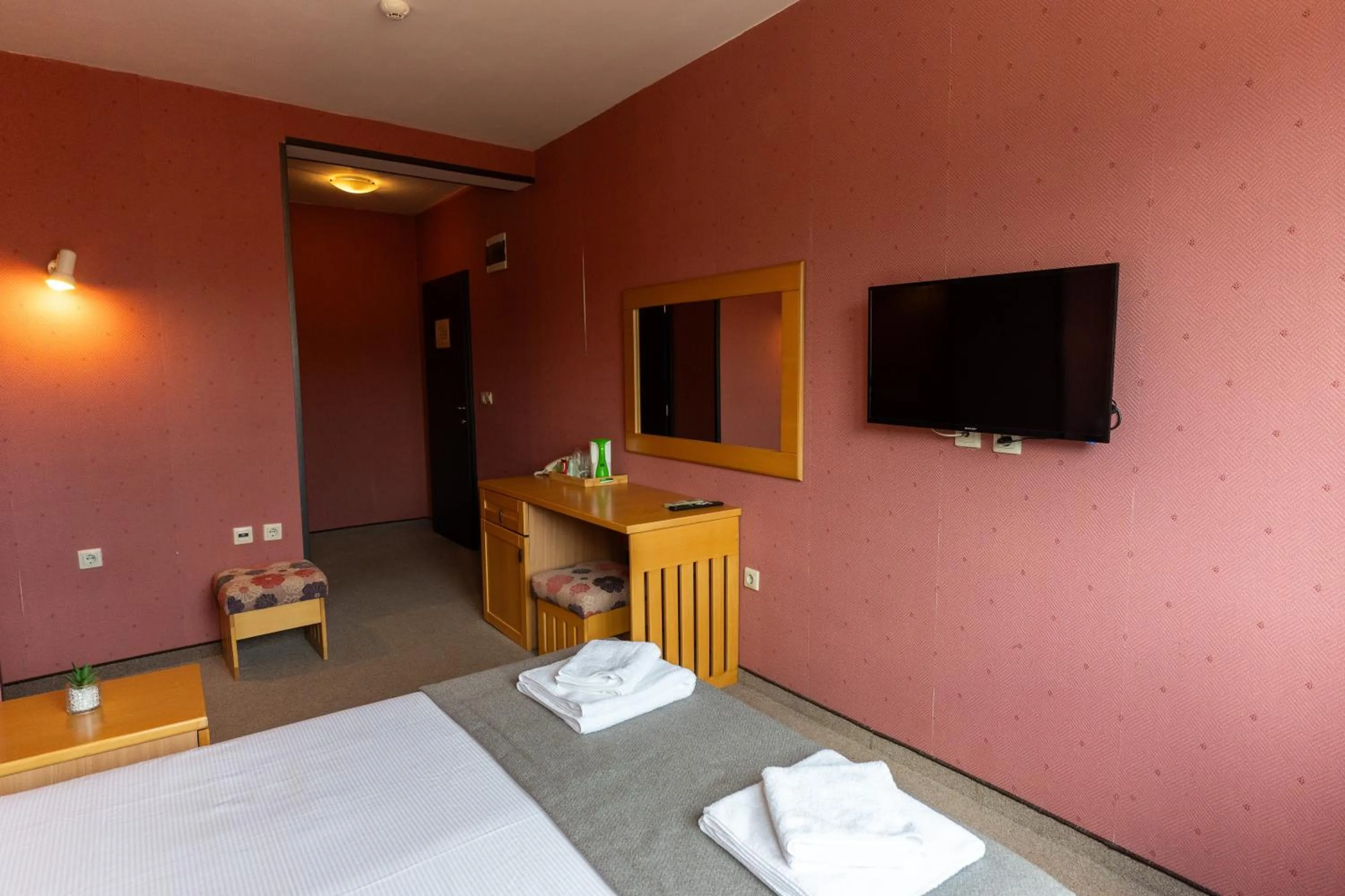 Double Room - single occupancy in Hotel DEMETRA