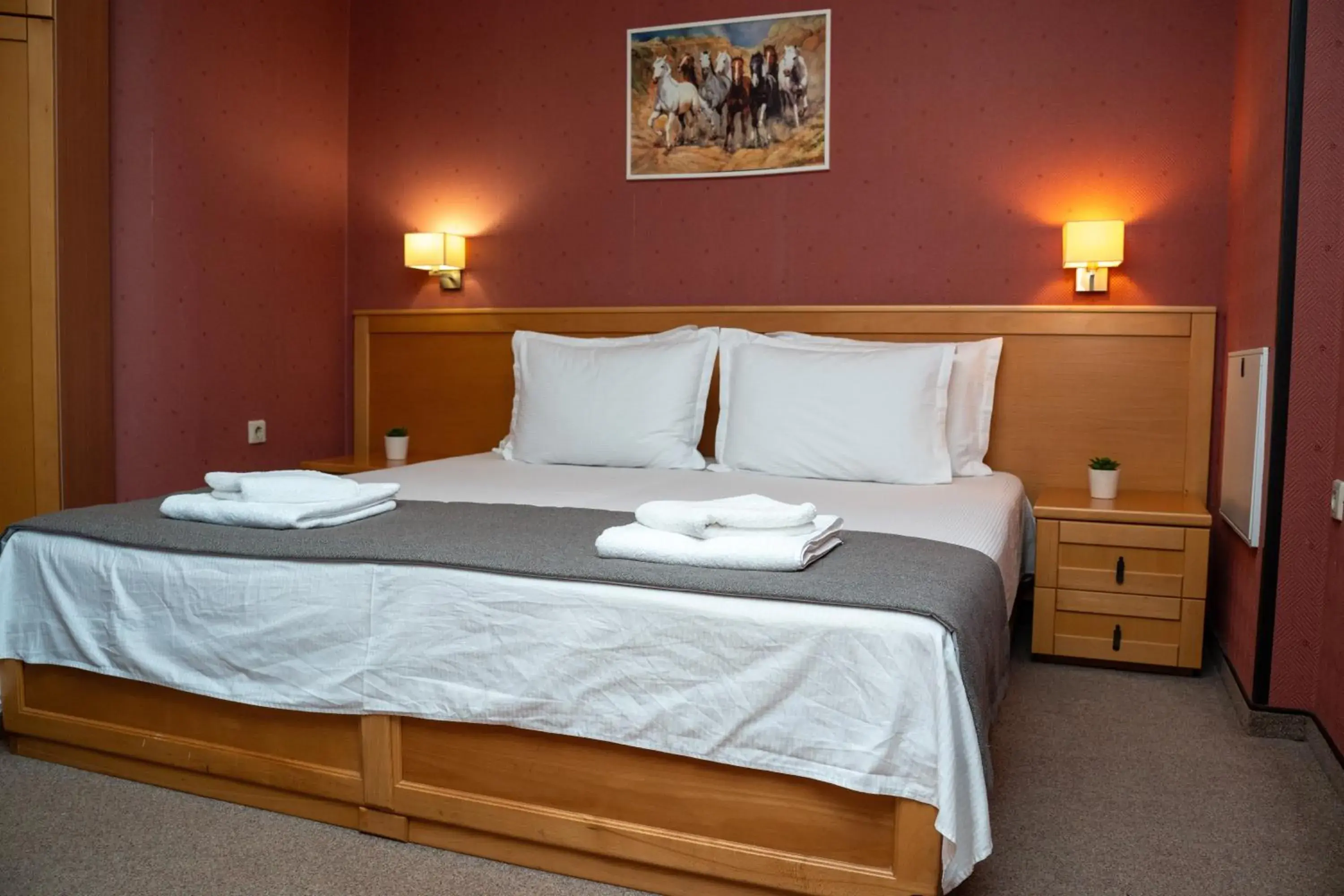 Double Room - single occupancy in Hotel DEMETRA Double Room - single occupancy in Hotel DEMETRA