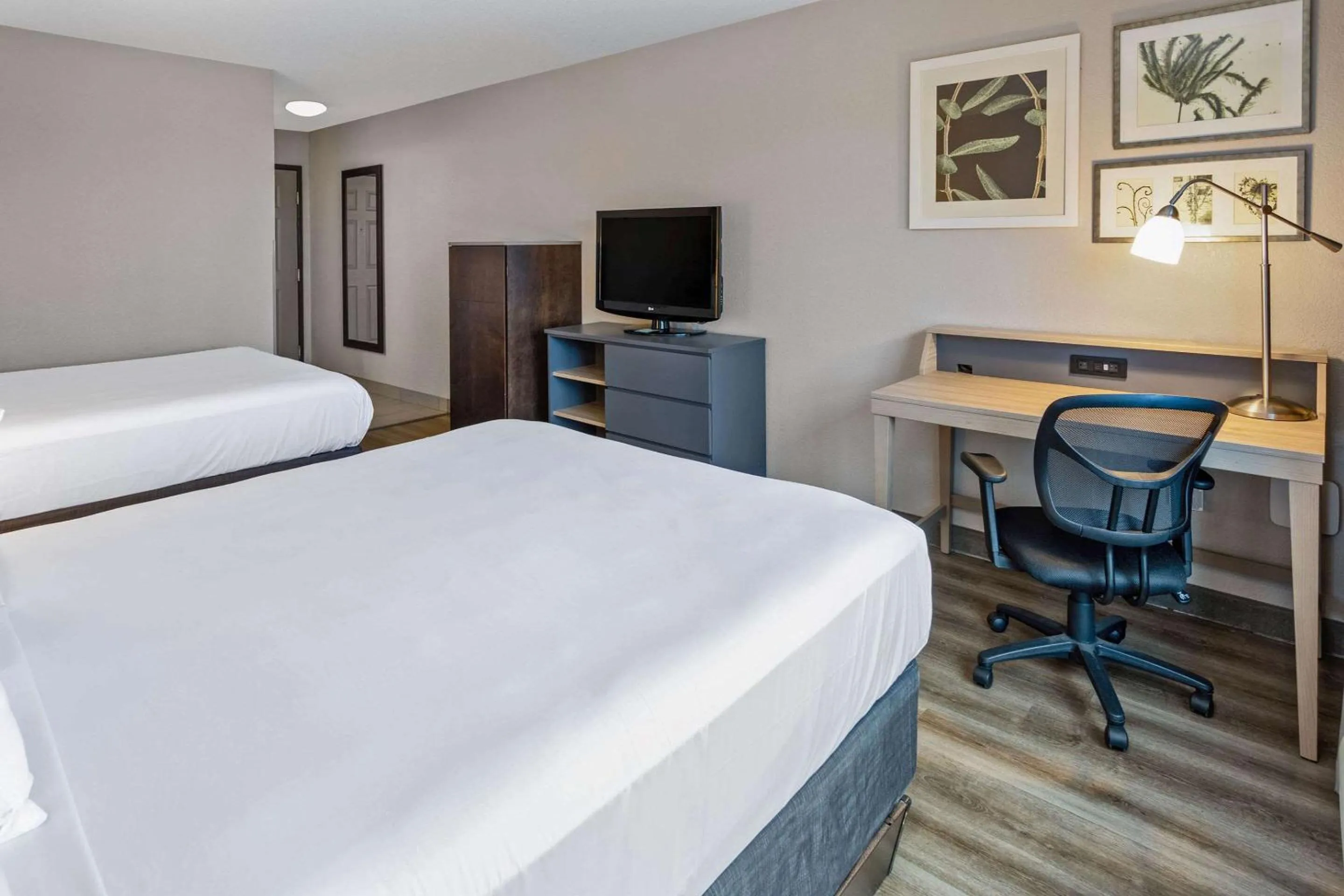 Bedroom, Bed in Country Inn & Suites by Radisson, Salisbury, MD