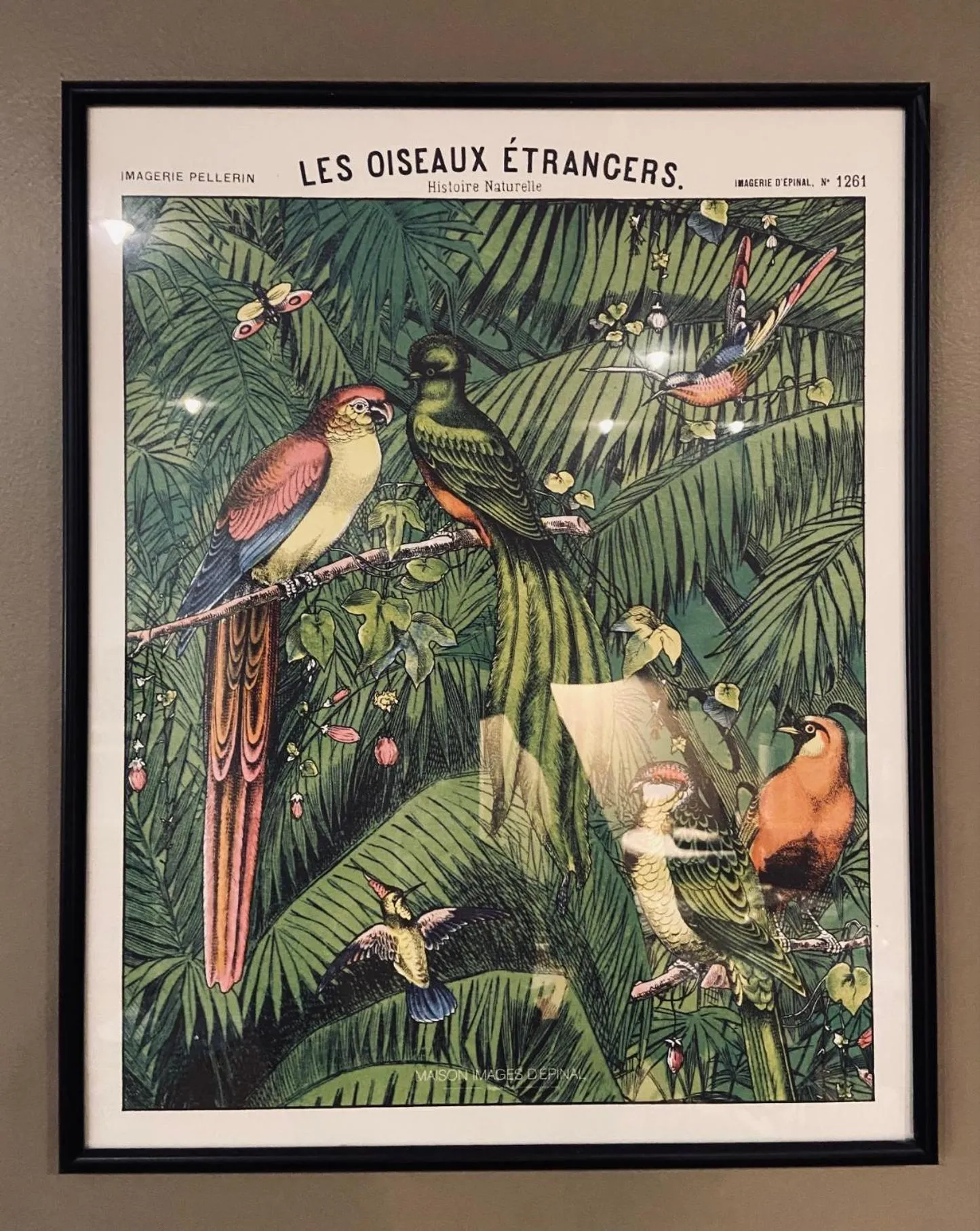 Decorative detail in Hotel Le Pelican