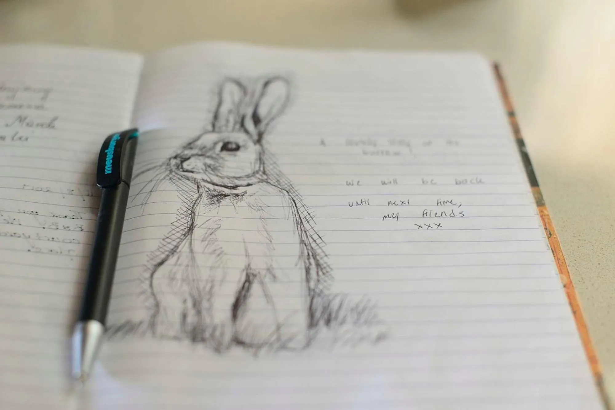 Decorative detail in The Burrow Guest House