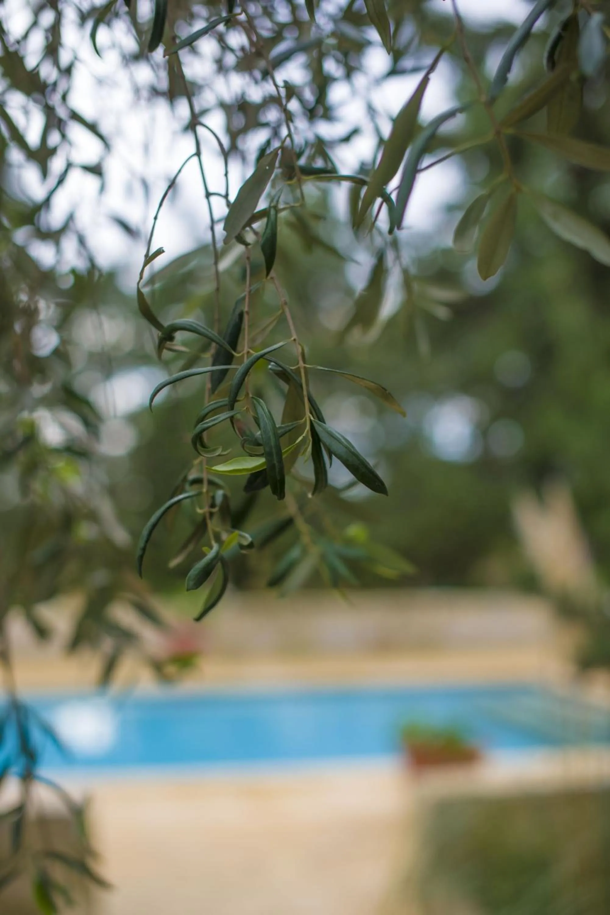 Other in Ta' Bertu Host Family Bed & Breakfast