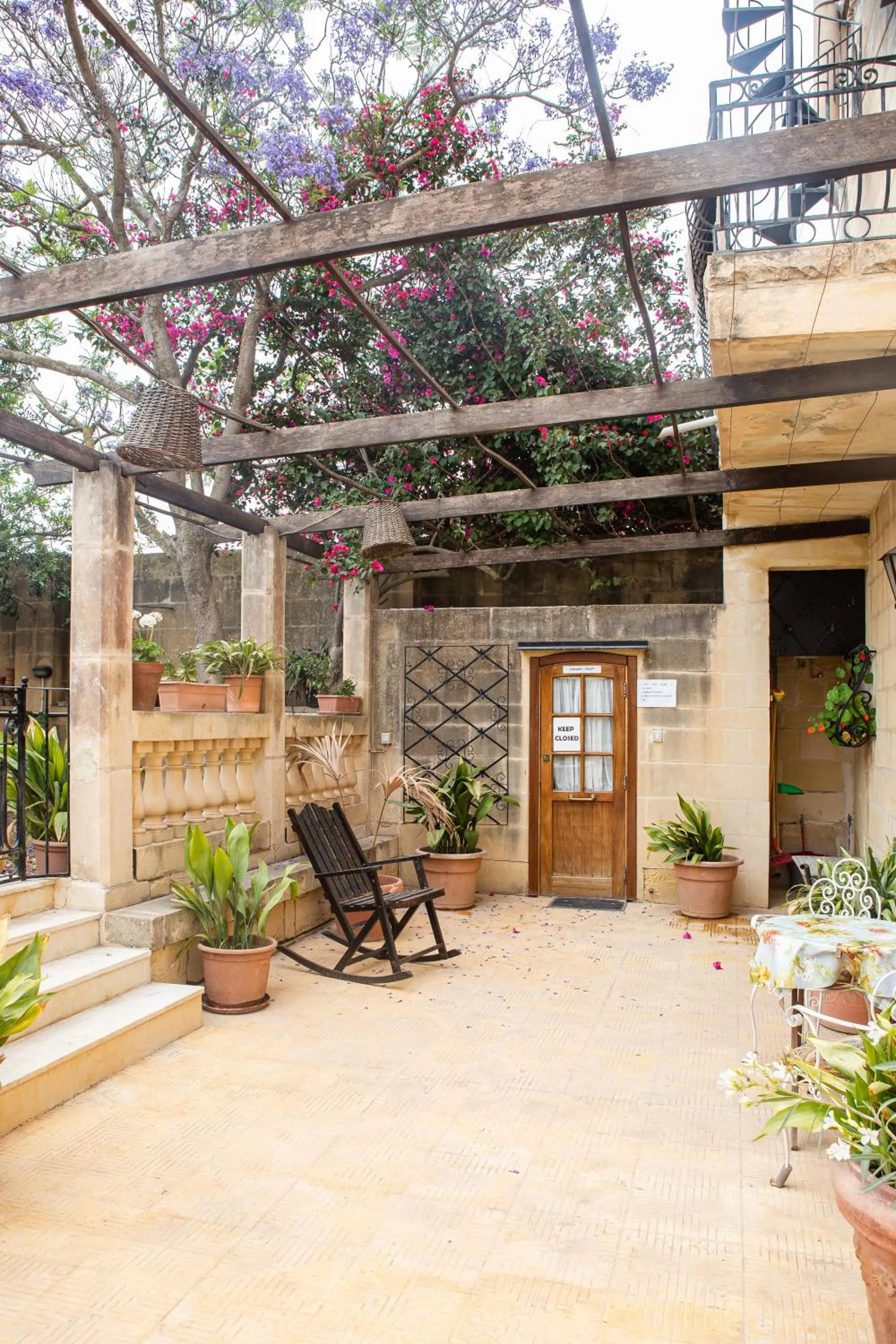 Garden in Ta' Bertu Host Family Bed & Breakfast