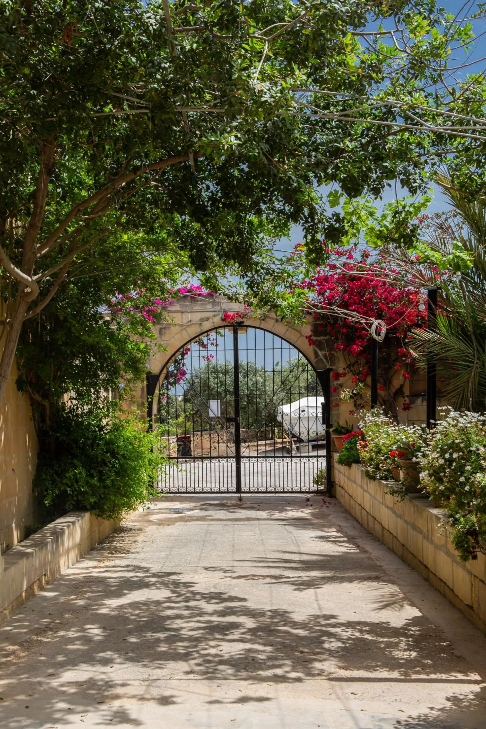 Garden in Ta' Bertu Host Family Bed & Breakfast