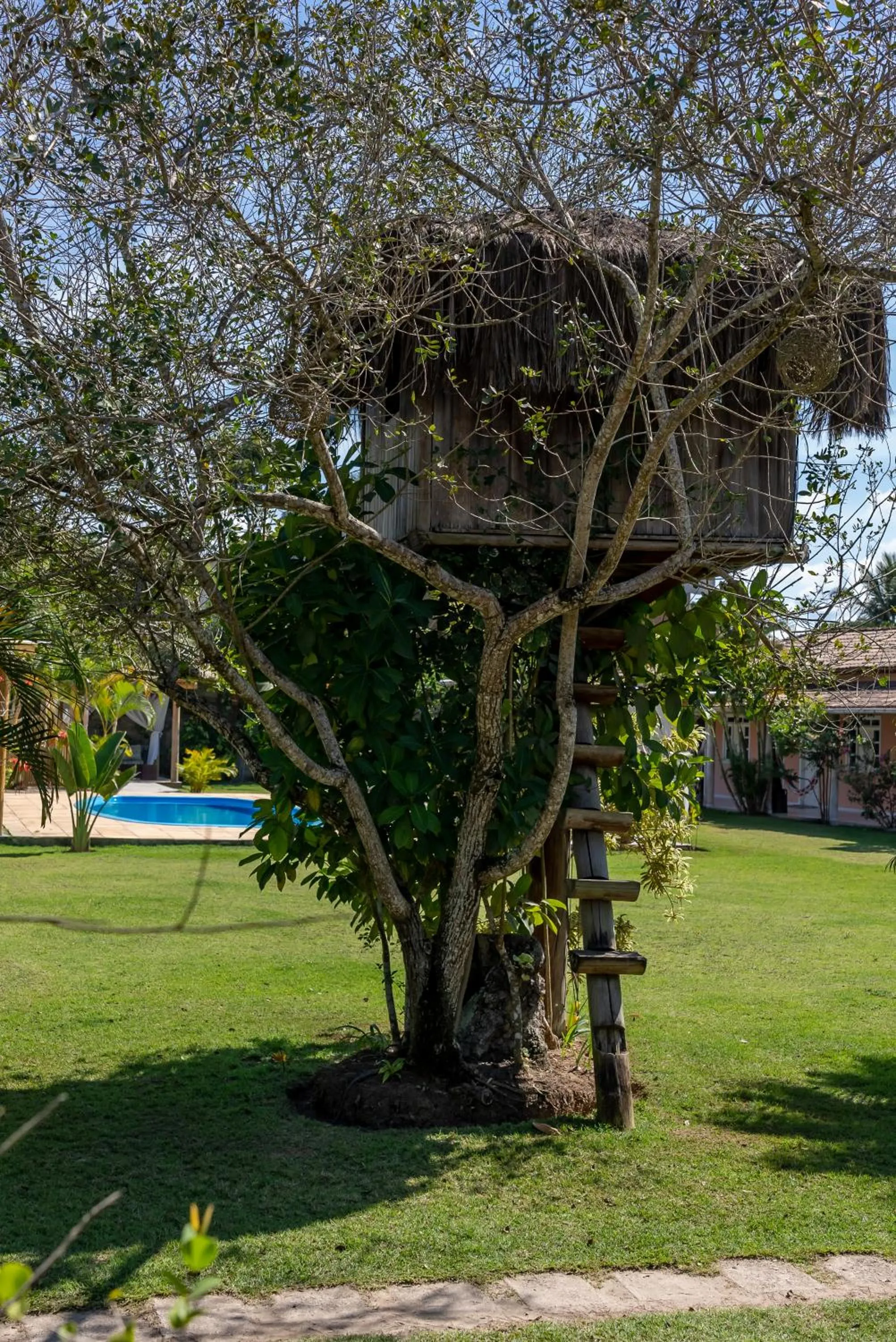 Garden in Pousada Recanto Trancoso
