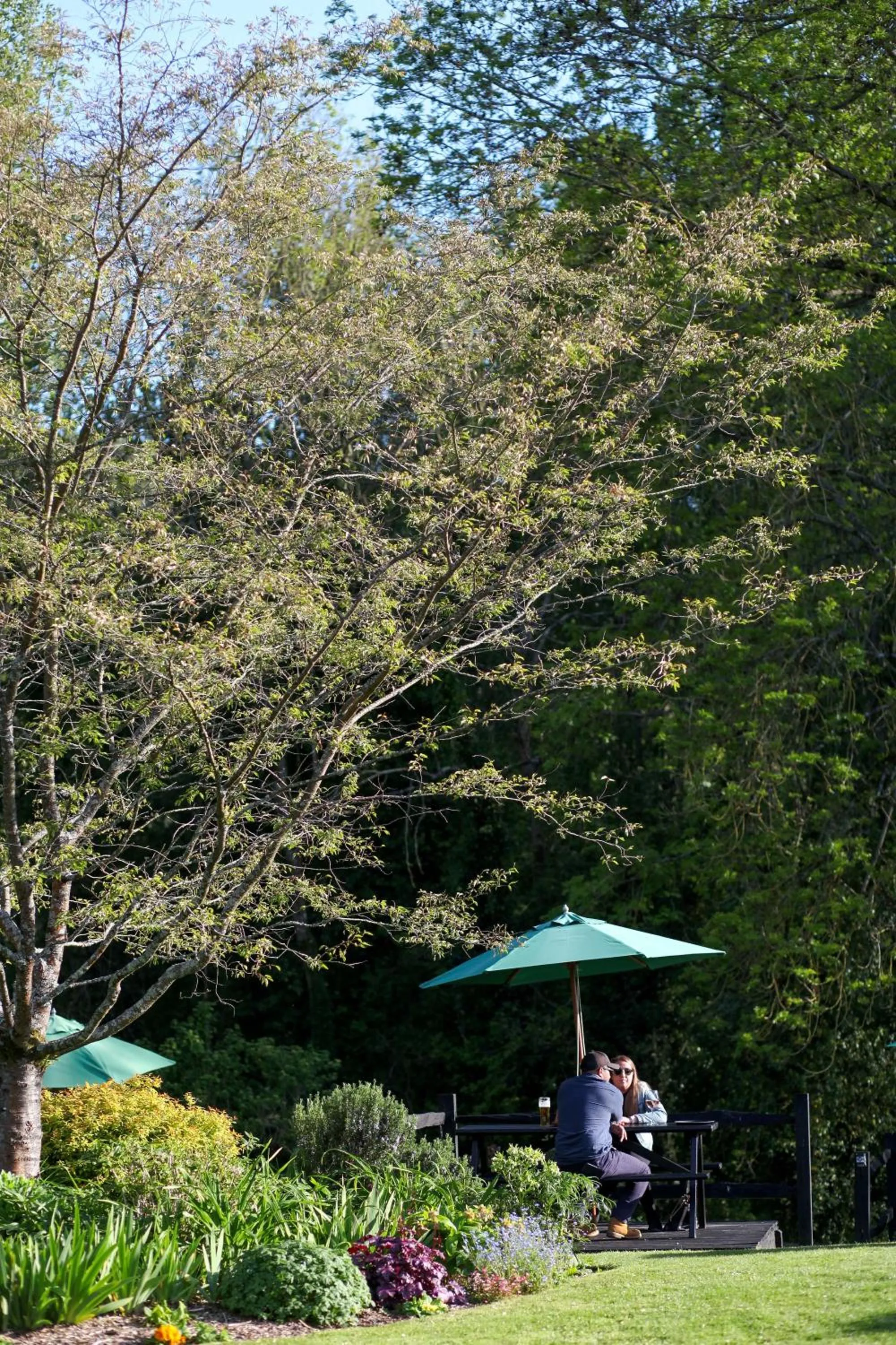 Garden in The Cricketers Arms