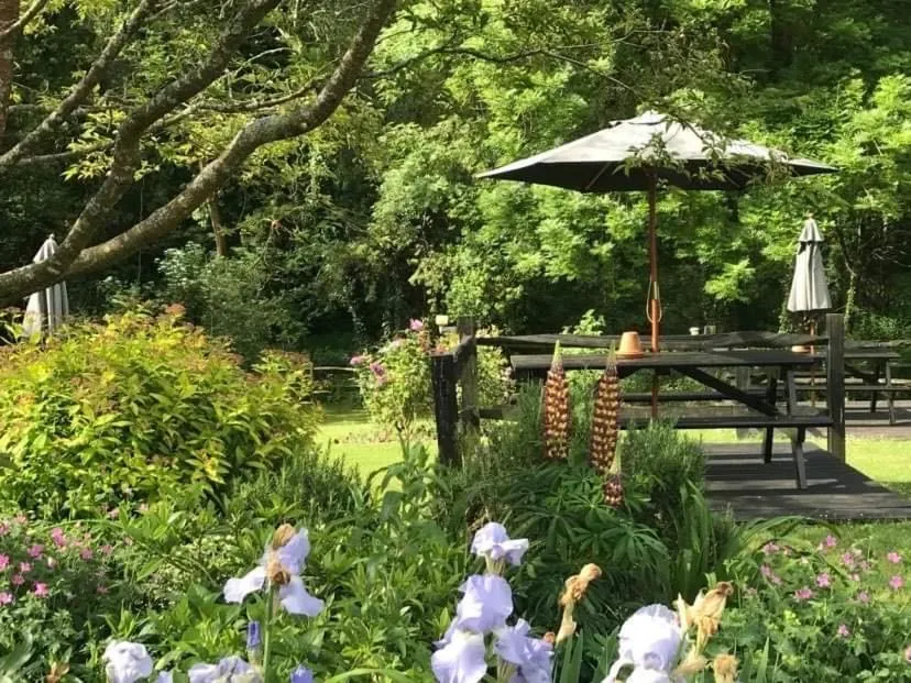 Garden in The Cricketers Arms