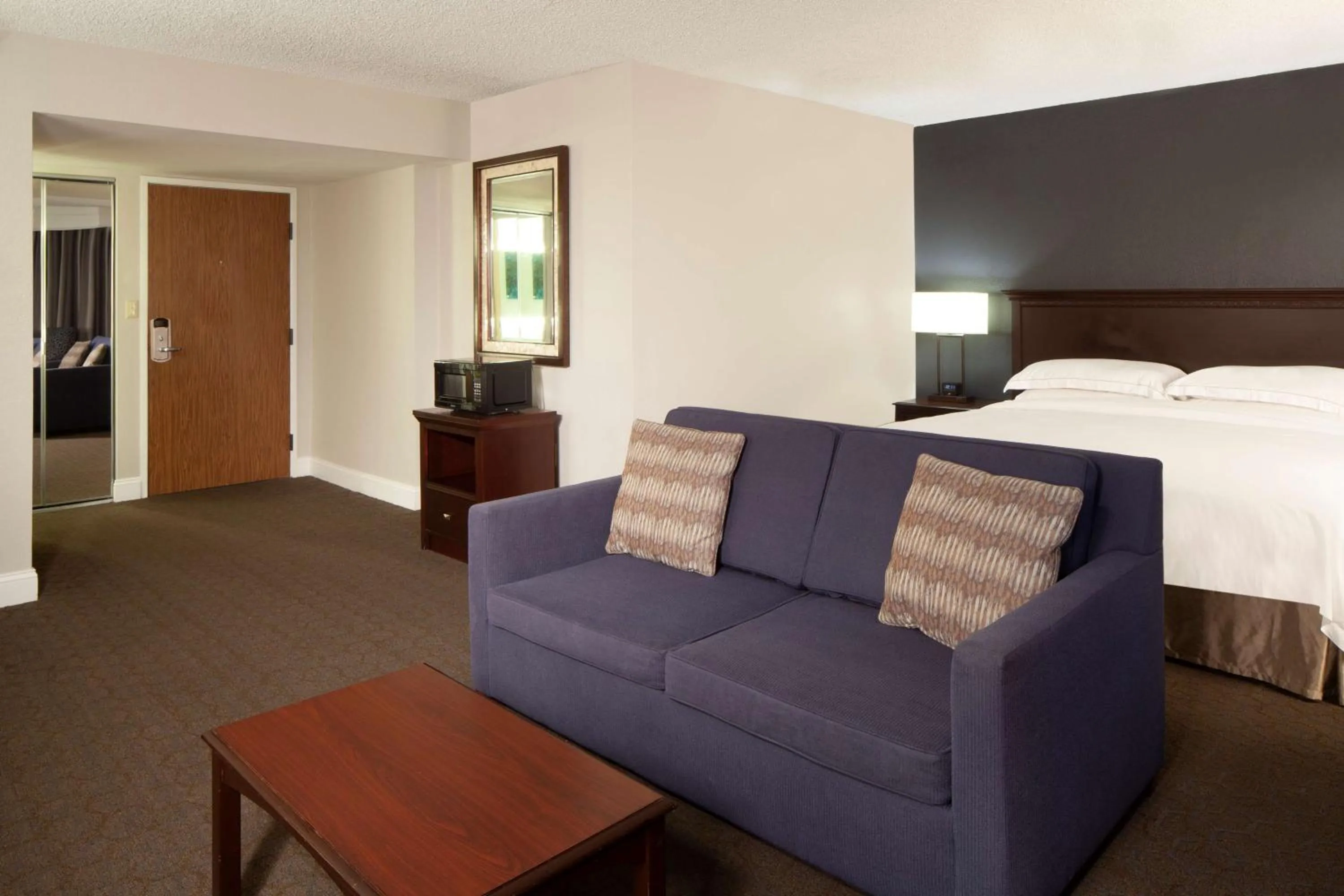 Living room in Hilton Houston NASA Clear Lake