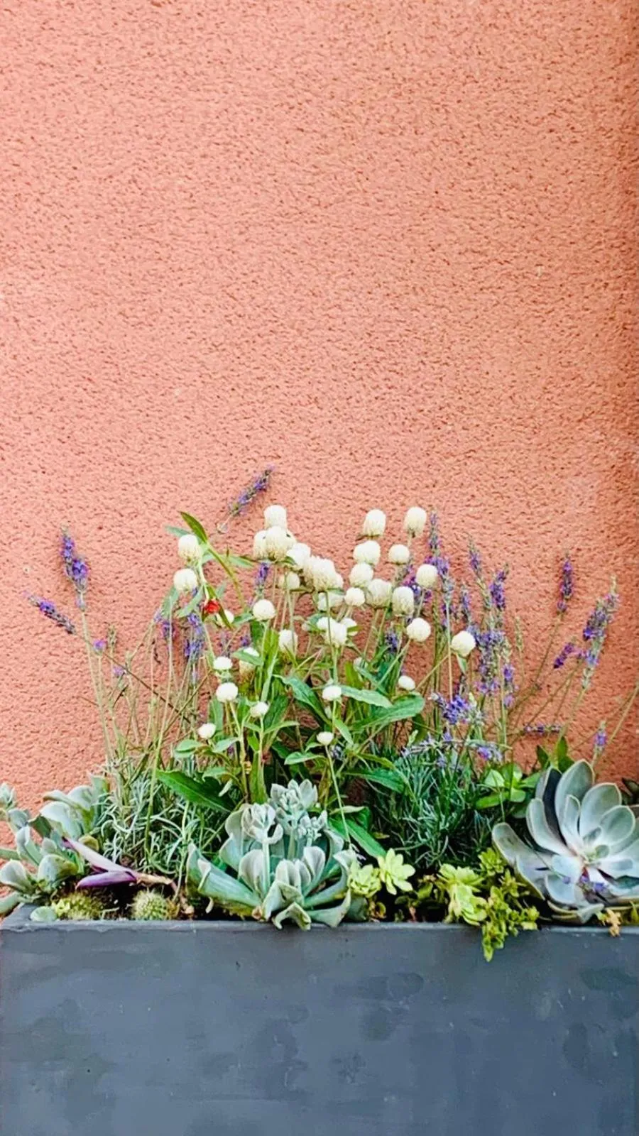 La Maison narbonnaise