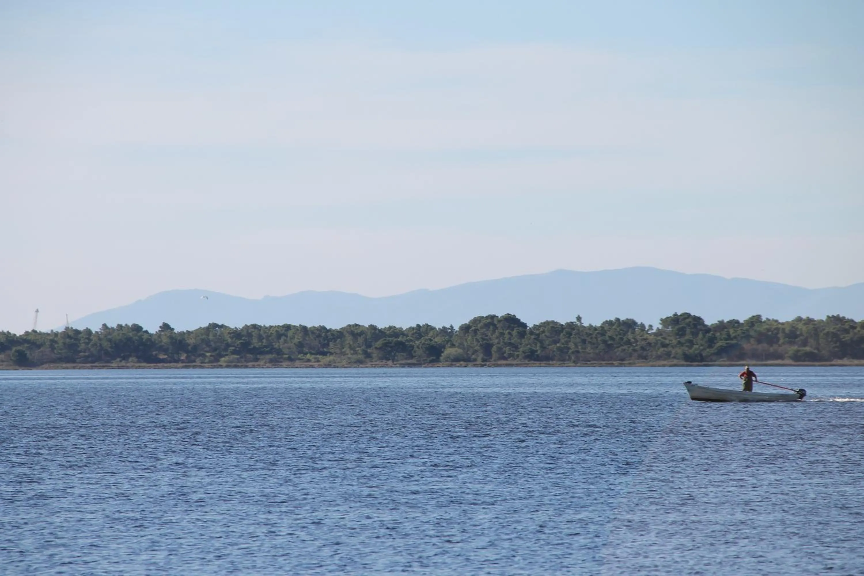 La Maison narbonnaise