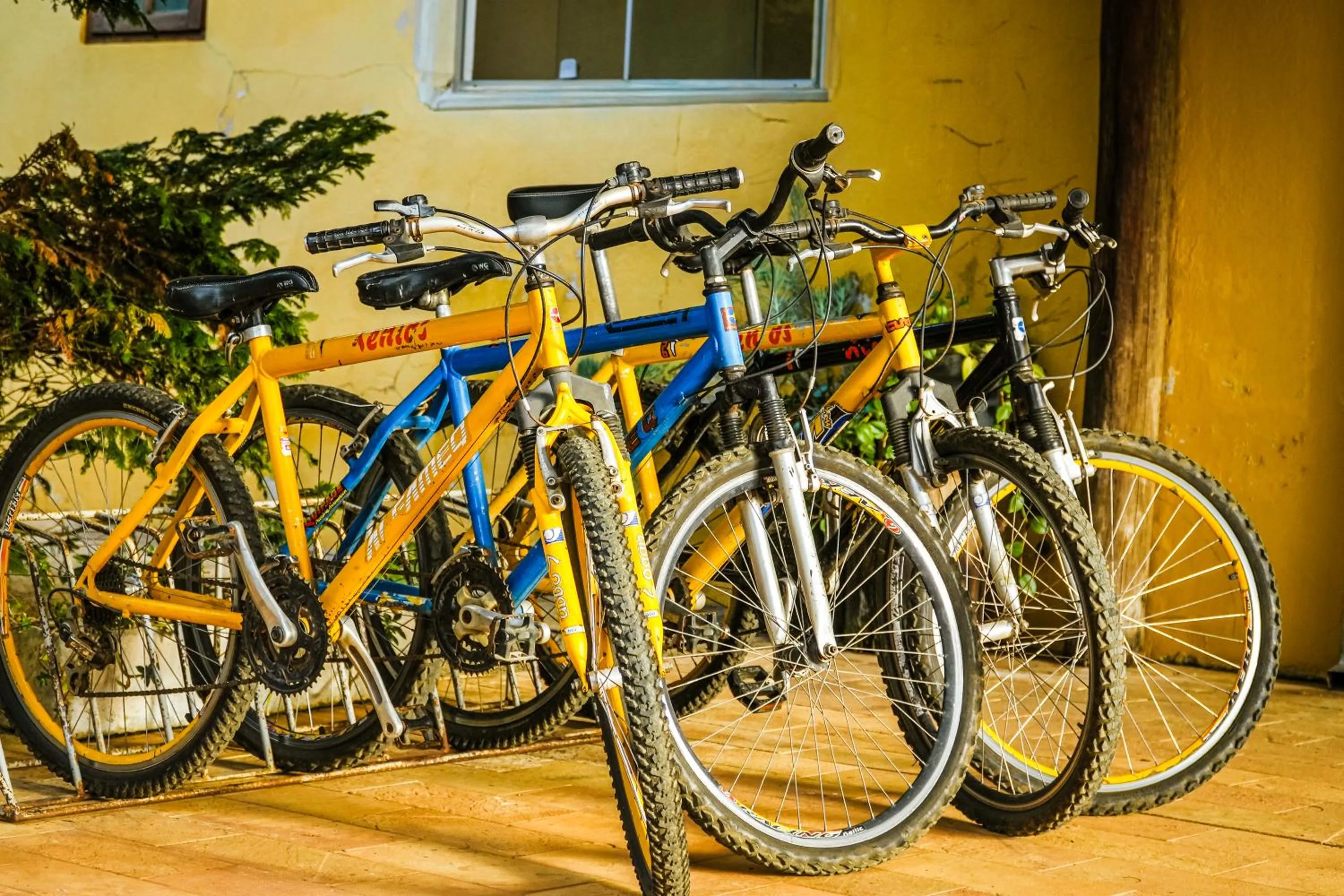Cycling in VELINN Hotel Fazenda Fonte das Hortênsias