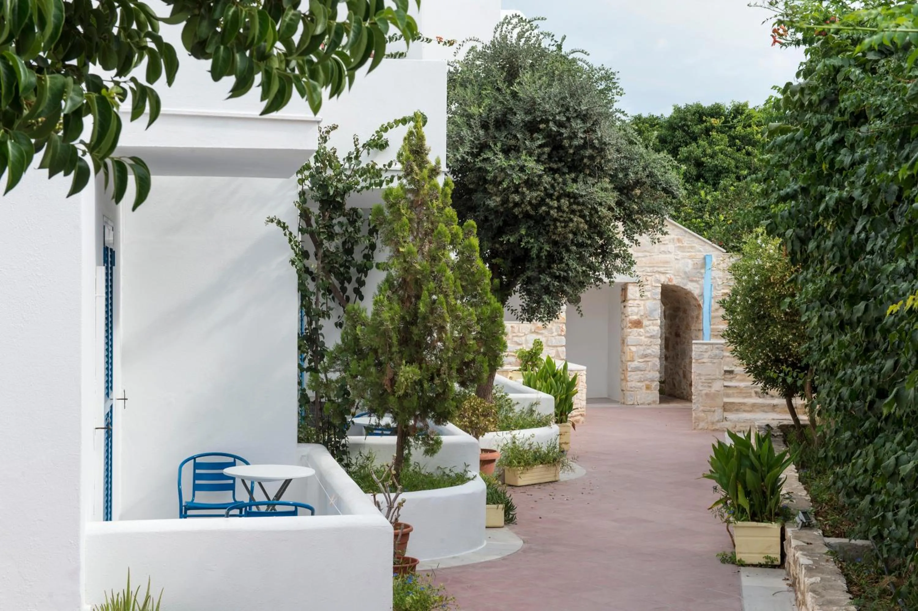 Garden in Hotel Aegeon