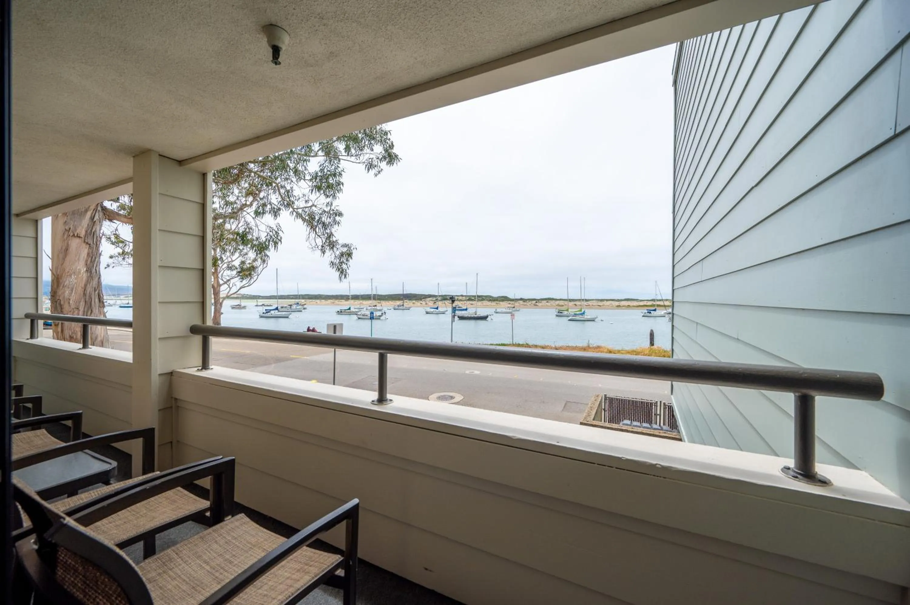 View (from property/room) in 456 Embarcadero Inn & Suites