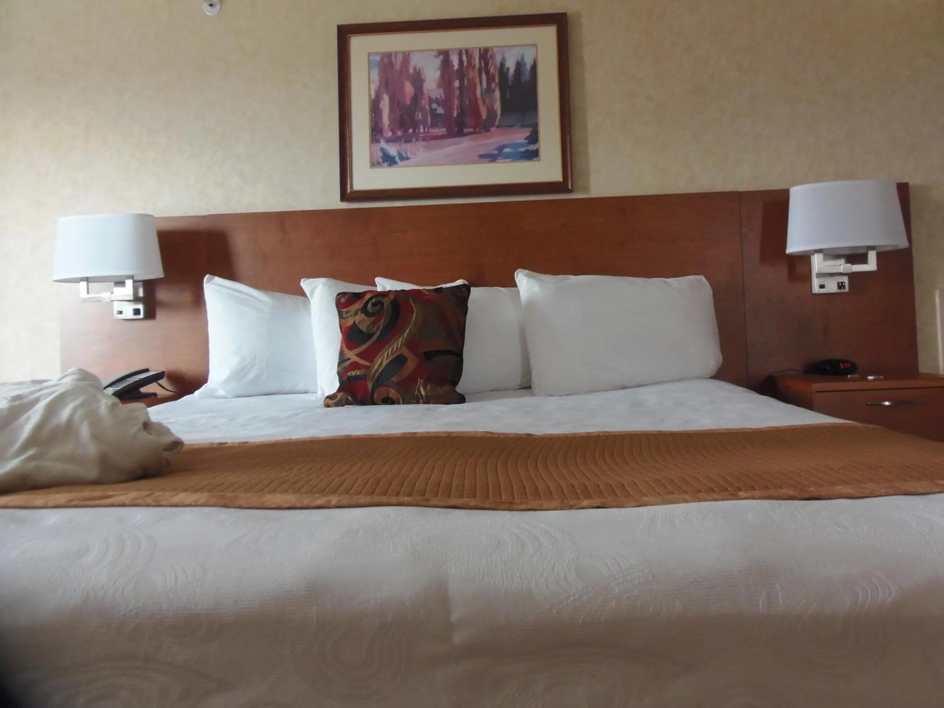 Bed in Rosslyn Inn & Suites