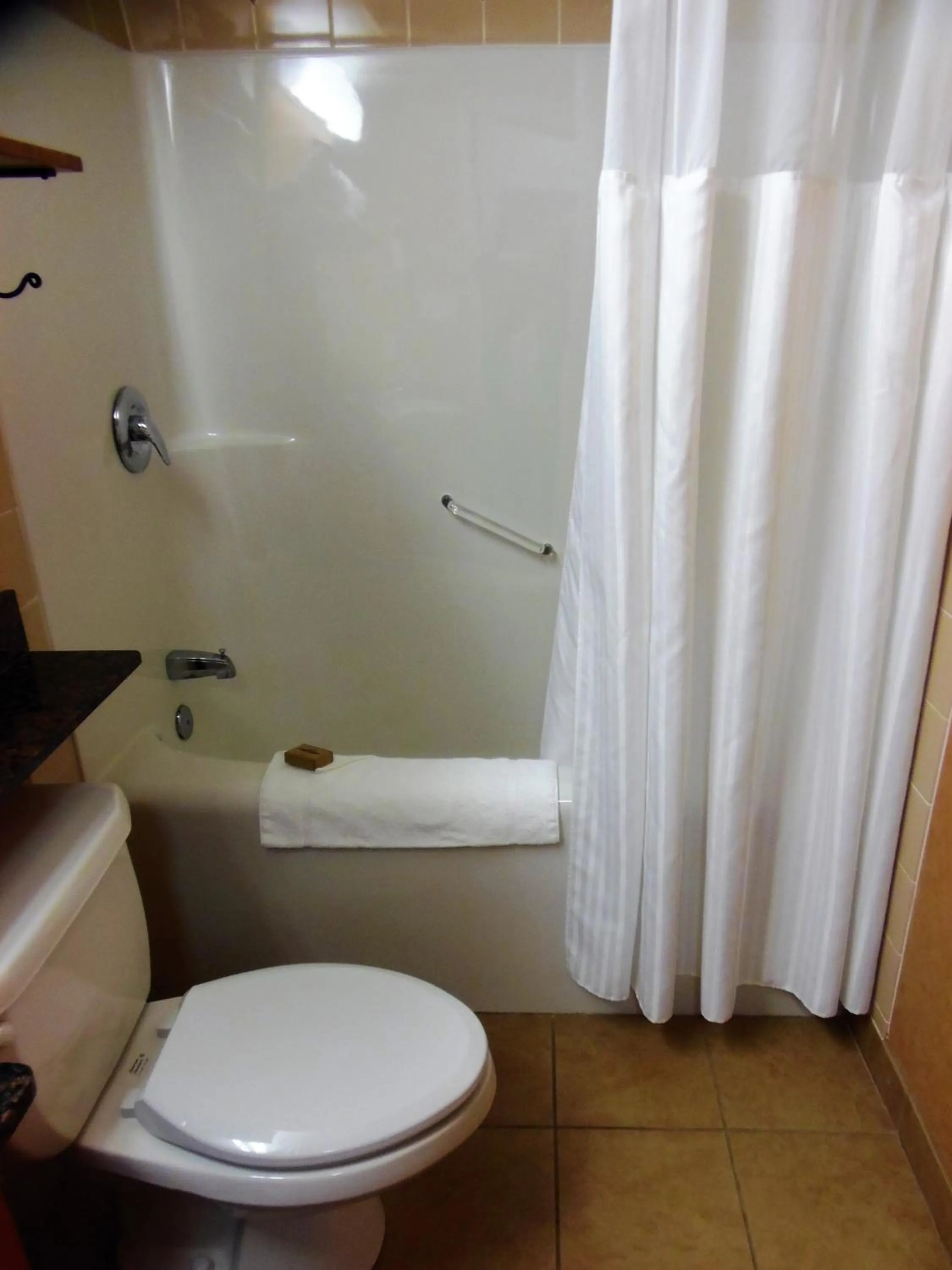 Bathroom in Rosslyn Inn & Suites