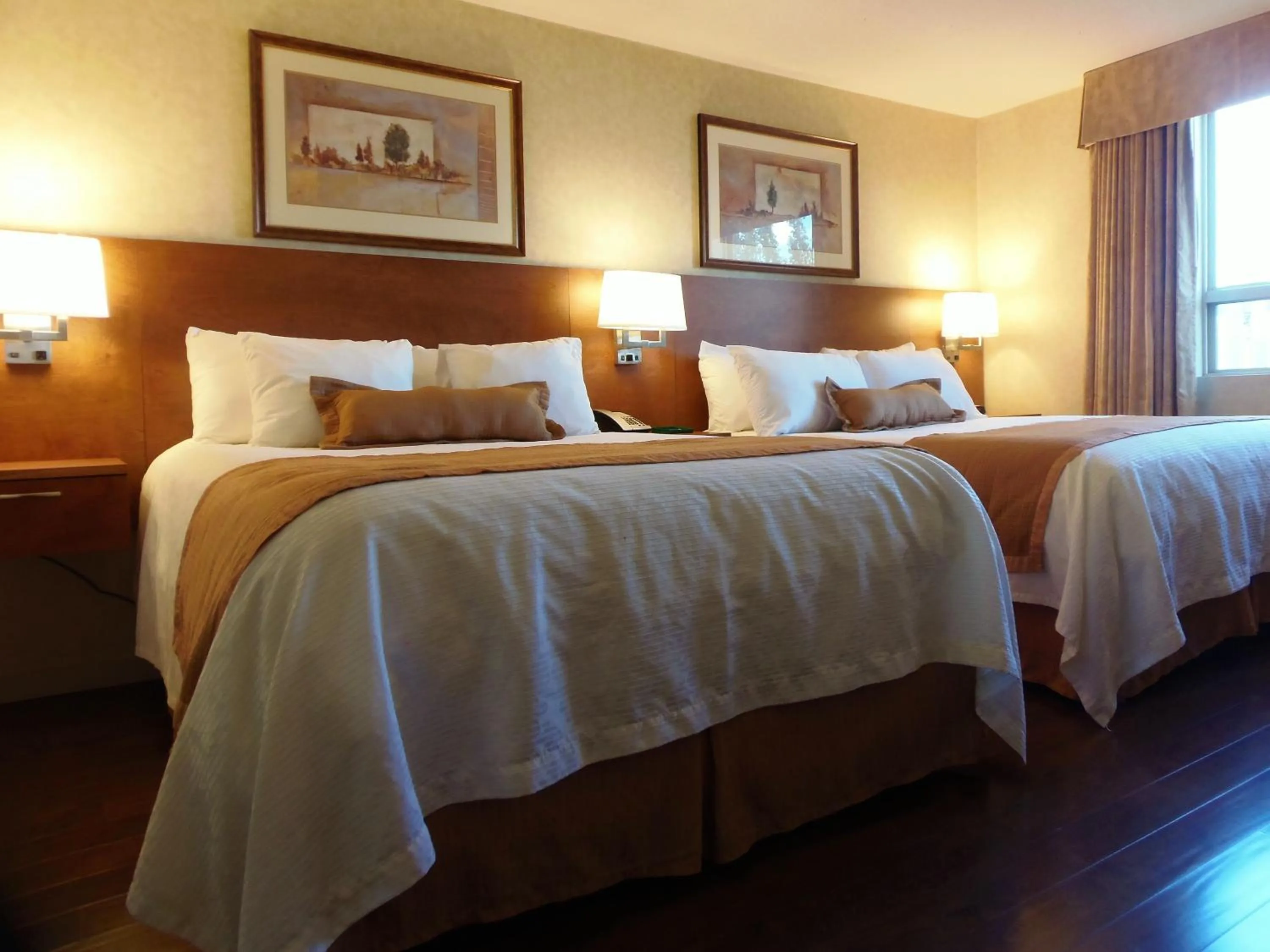 Pets, Bed in Rosslyn Inn & Suites