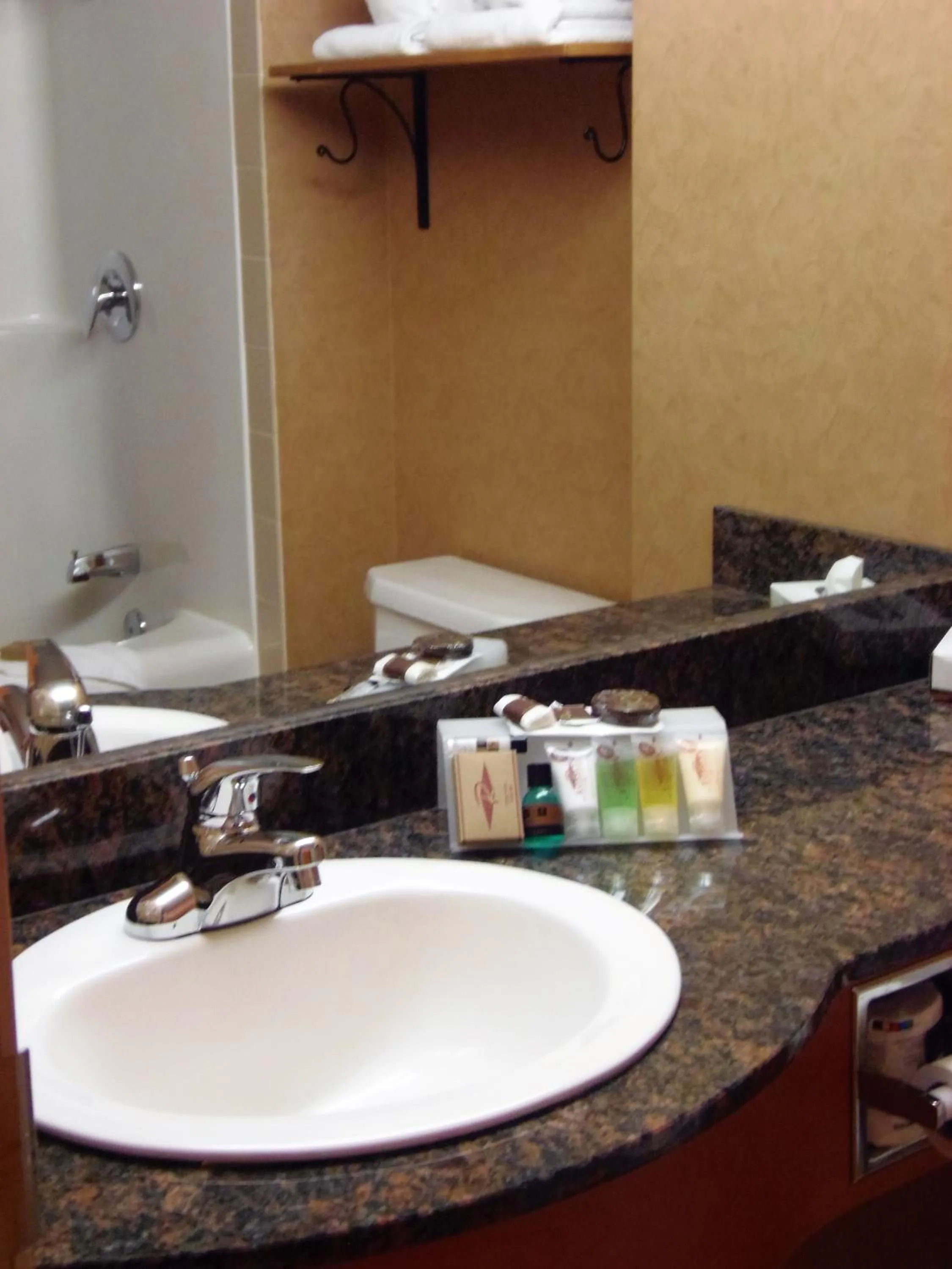 Bathroom in Rosslyn Inn & Suites