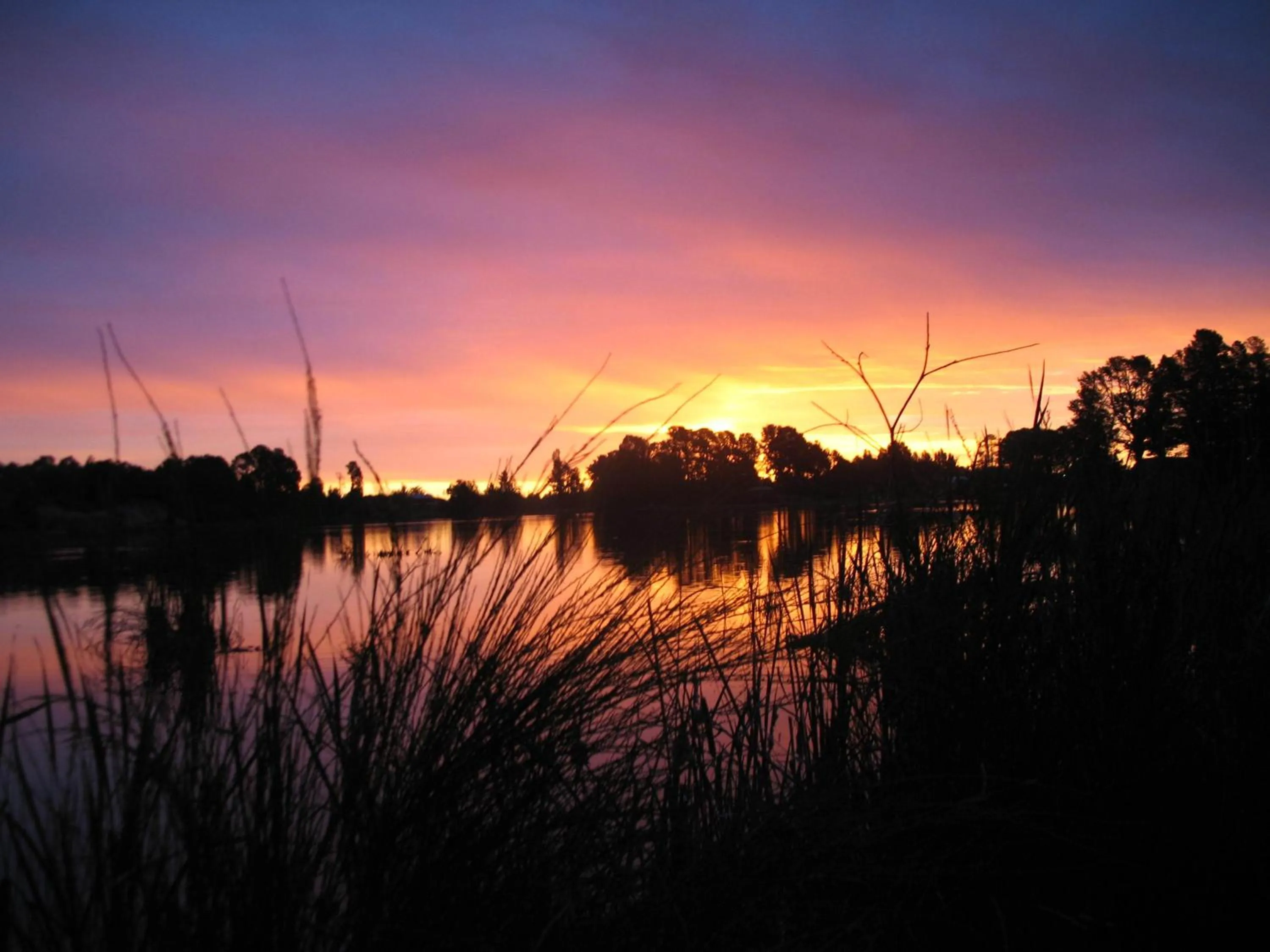 Area and facilities in Beechworth Lake Sambell Caravan Park