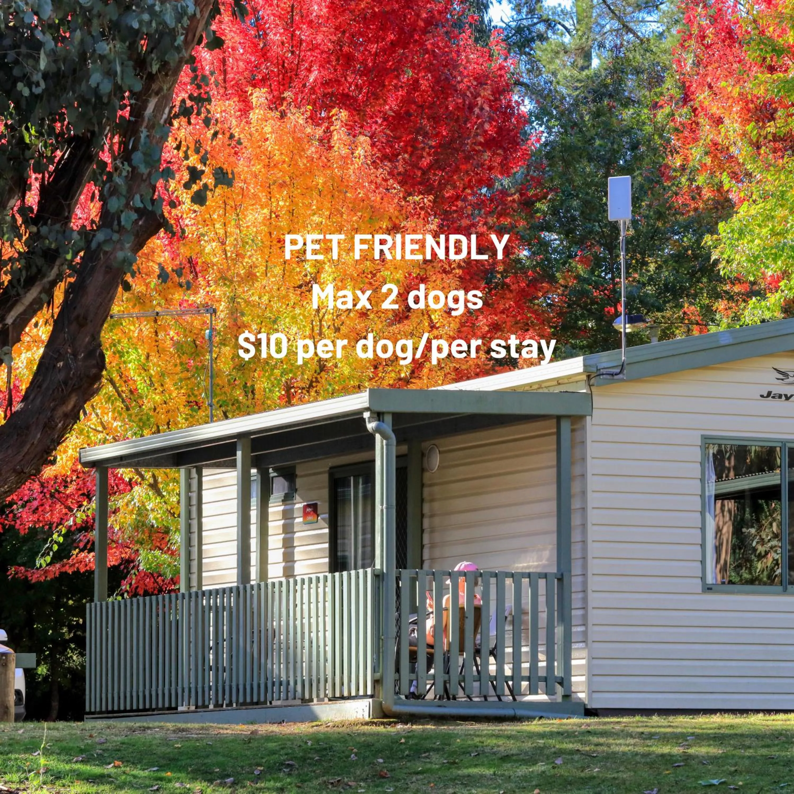 Garden in Beechworth Lake Sambell Caravan Park