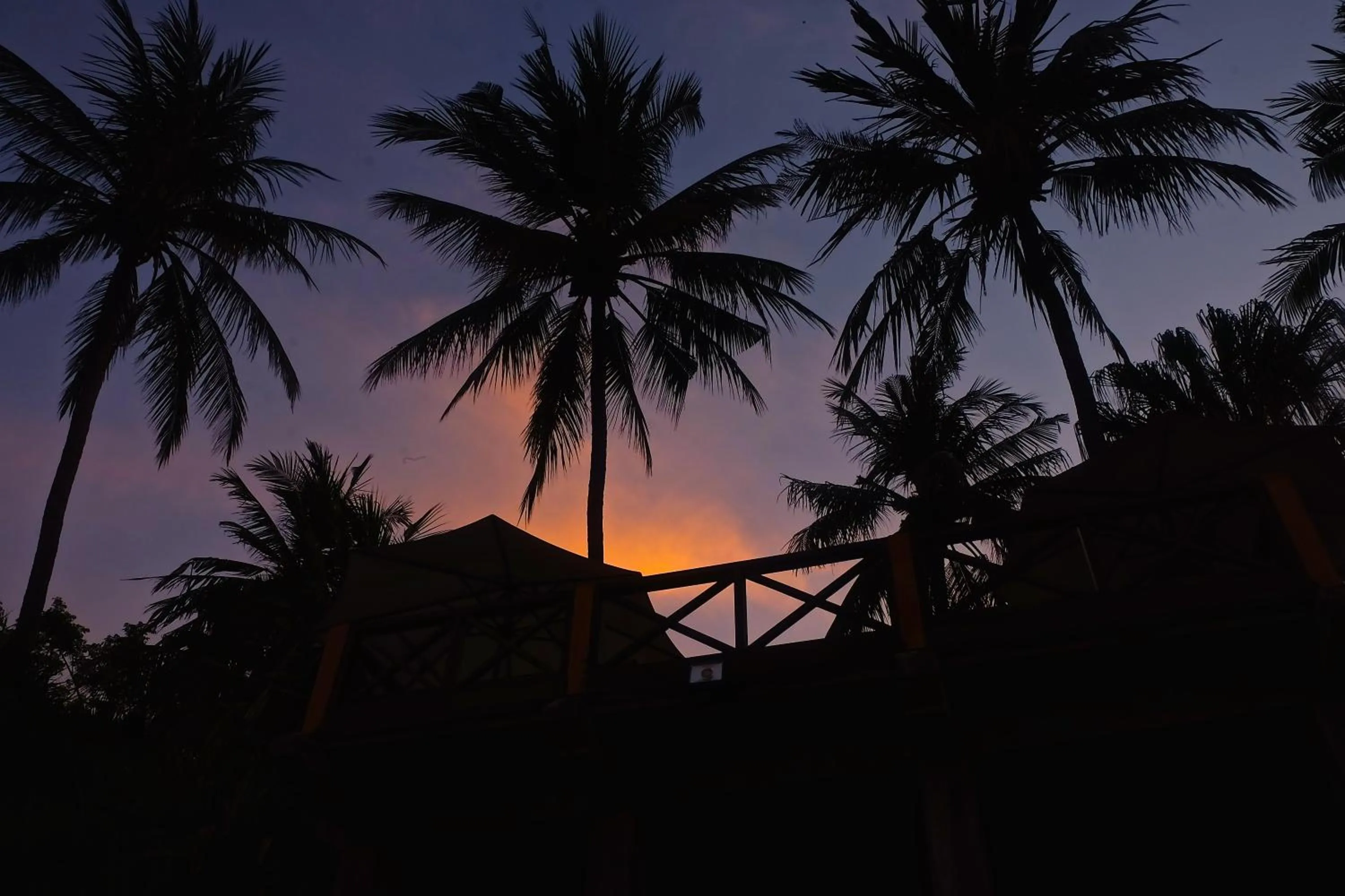 Garden view in Villa Boreh Beach Resort and Spa