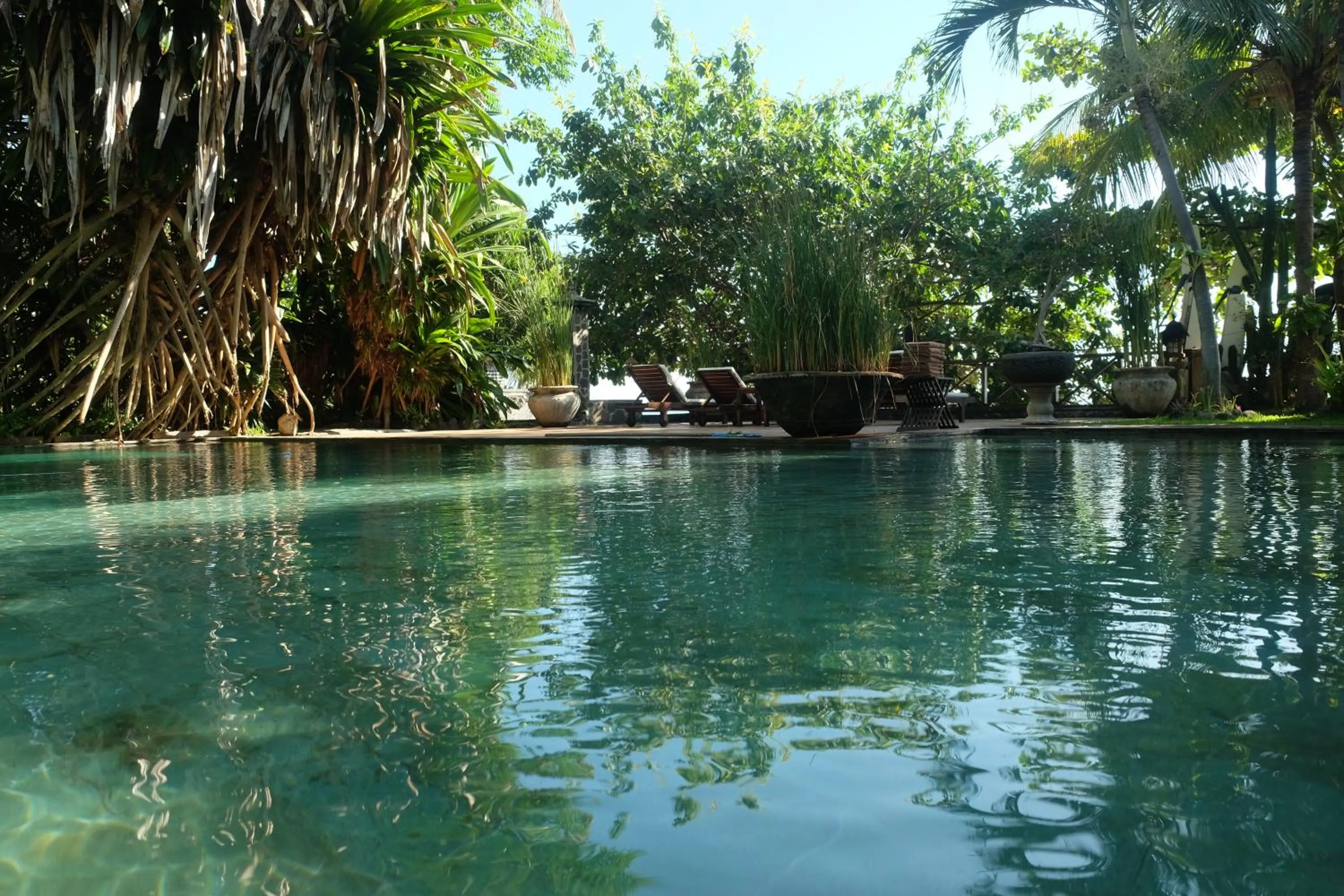 Swimming pool in Villa Boreh Beach Resort and Spa