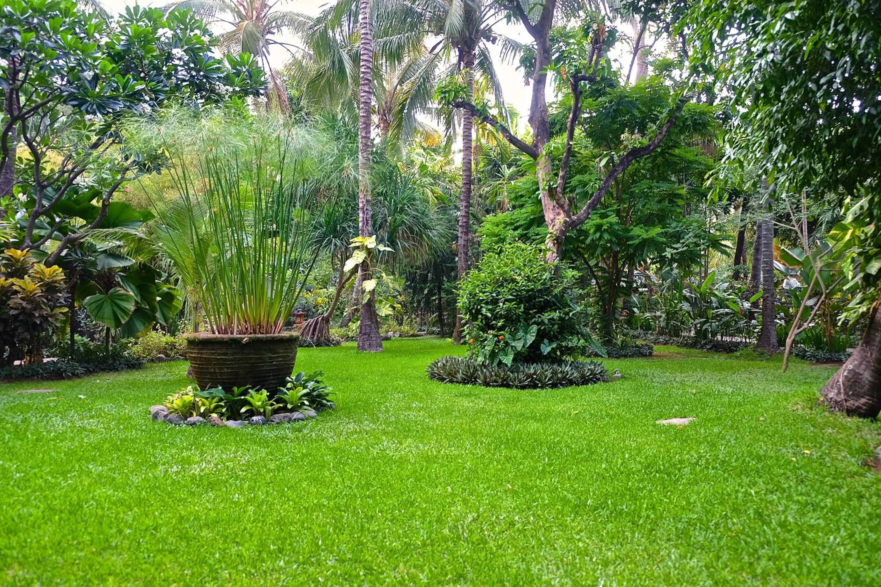 Garden in Villa Boreh Beach Resort and Spa